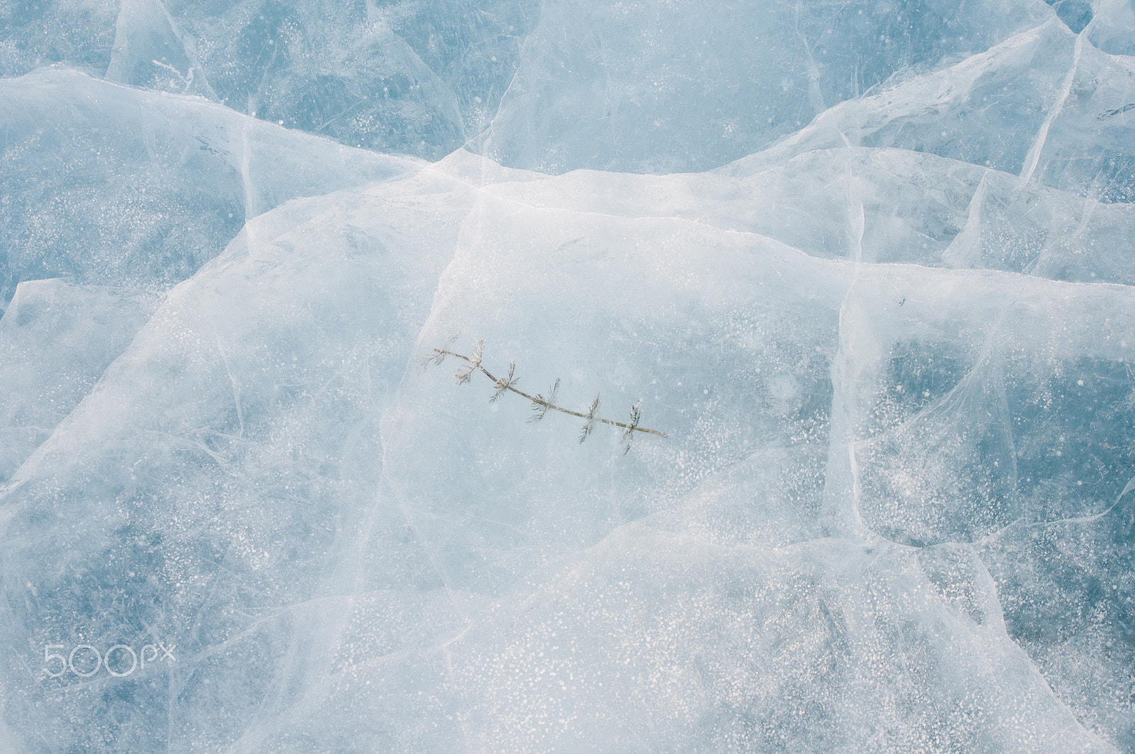 Nikon D300 sample photo. Ice cracked from the cold. photography
