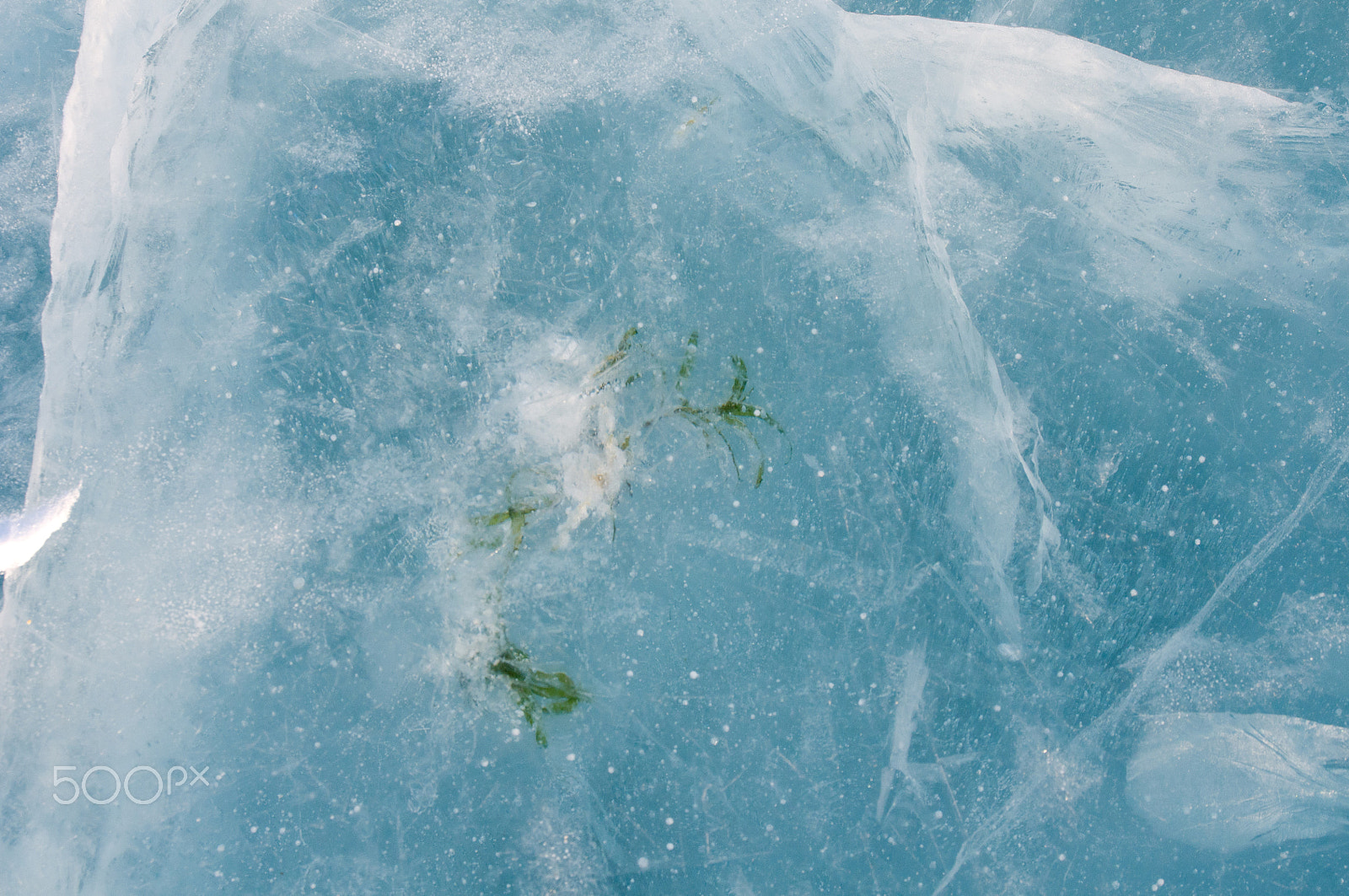 Nikon D300 sample photo. Ice cracked from the cold. photography