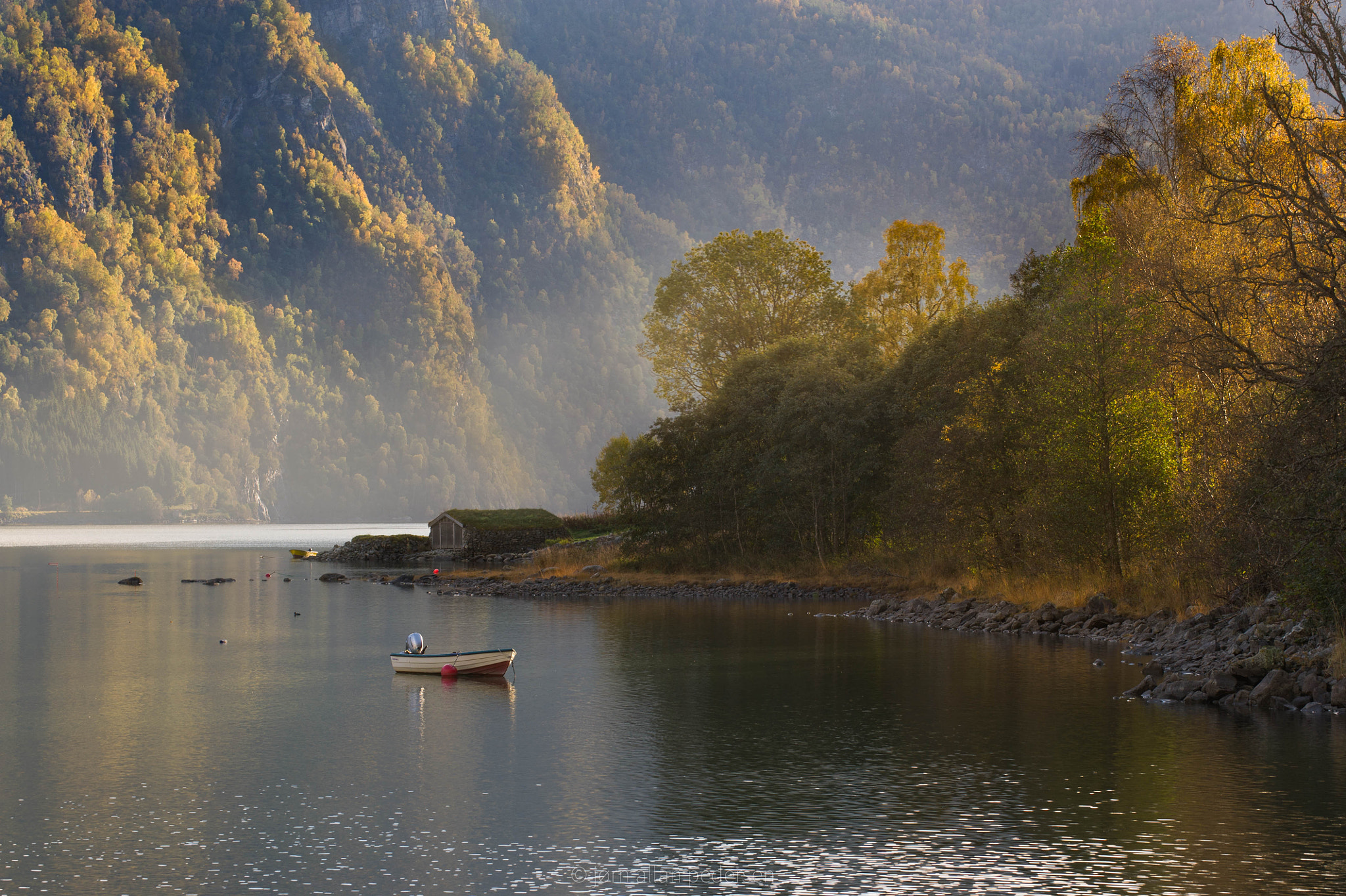 Nikon D3S sample photo. Autumn rays photography