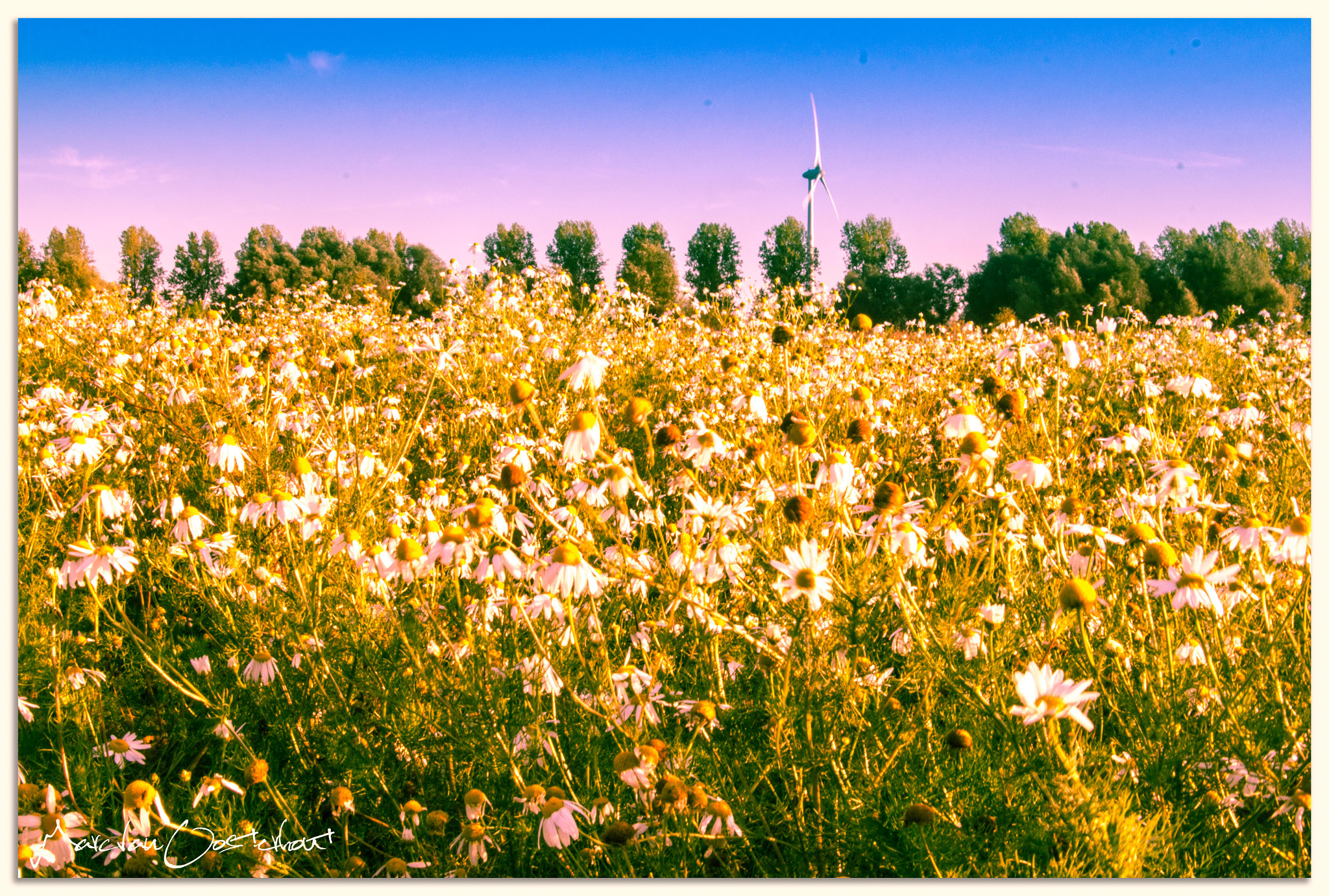 Sony SLT-A58 sample photo. Diezemonding, den bosch, netherlands photography