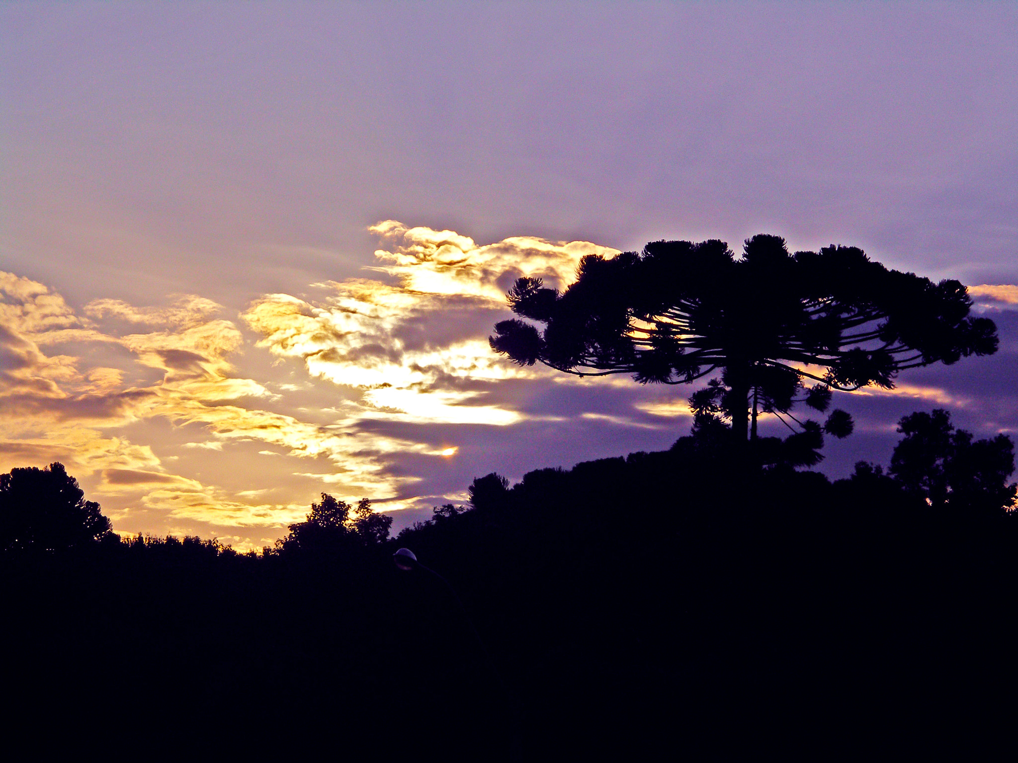 KONICA MINOLTA DiMAGE A200 sample photo. Night at curitiba photography