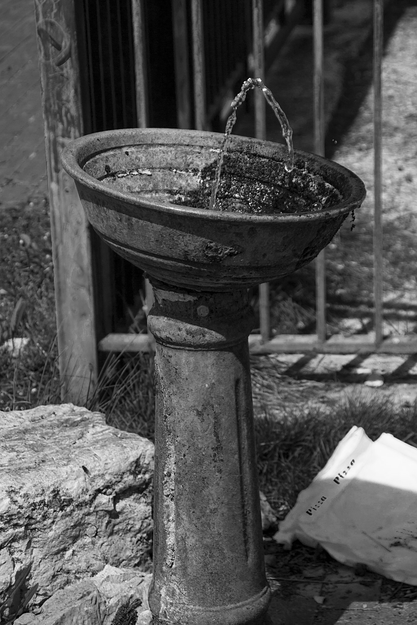 Canon EOS 450D (EOS Rebel XSi / EOS Kiss X2) sample photo. Fontanella photography