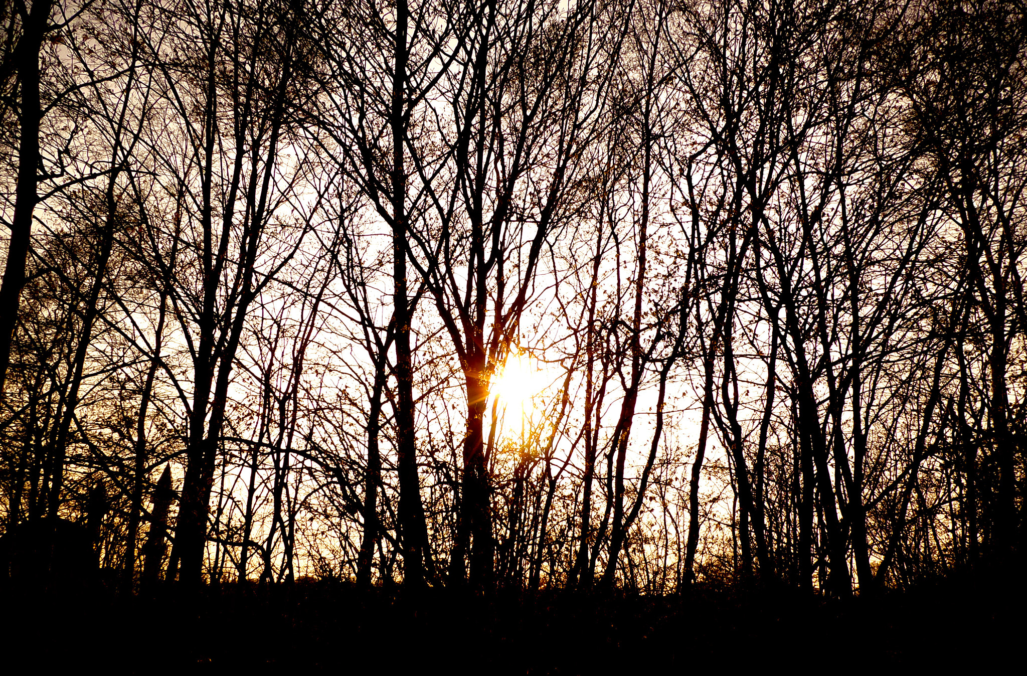 Samsung WB250F/WB251F/WB252F sample photo. Sunset behind the trees photography