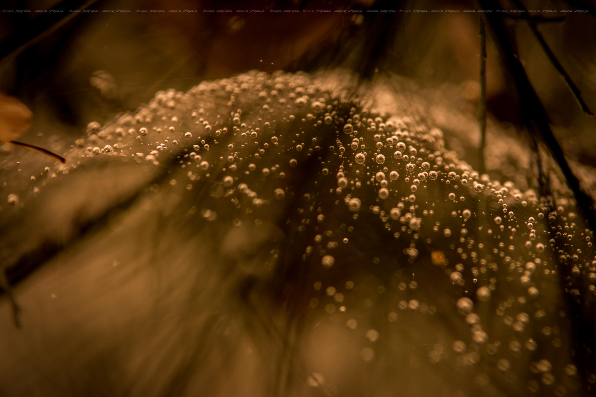 Tamron SP AF 70-200mm F2.8 Di LD (IF) MACRO sample photo. Explosion photography