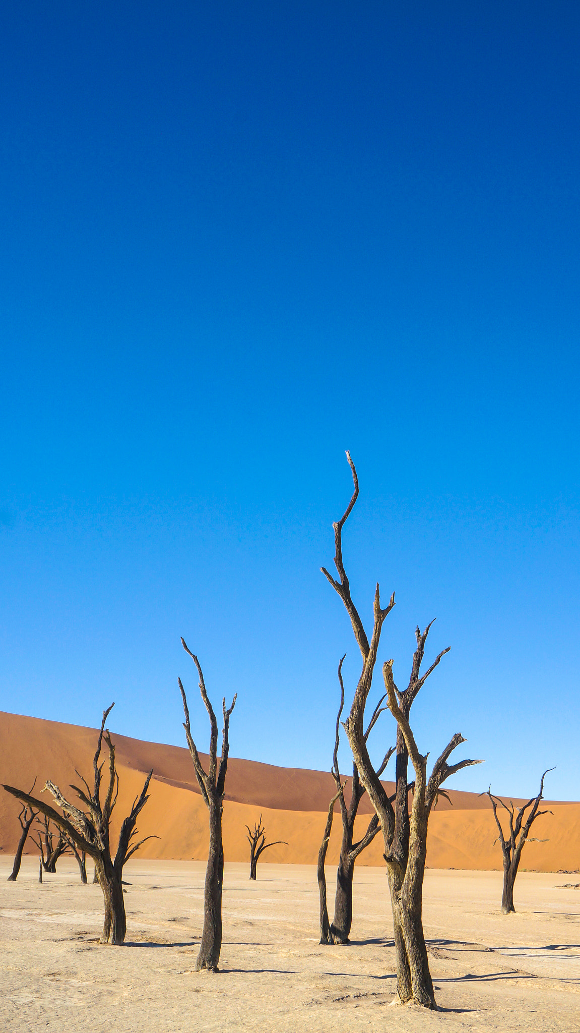 Sony Alpha NEX-6 + Sony E 18-55mm F3.5-5.6 OSS sample photo. Namib desert (namibia) photography