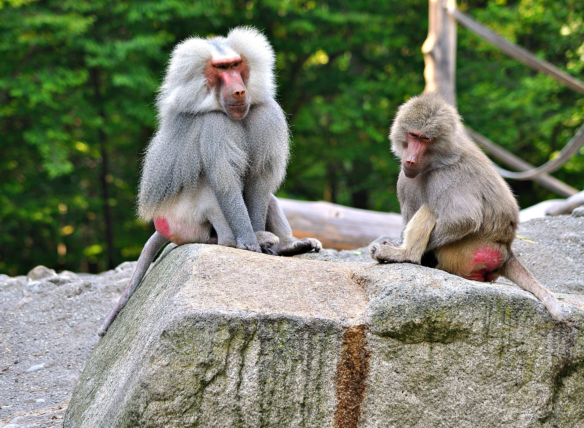 Nikon D5000 sample photo. Mmte photography