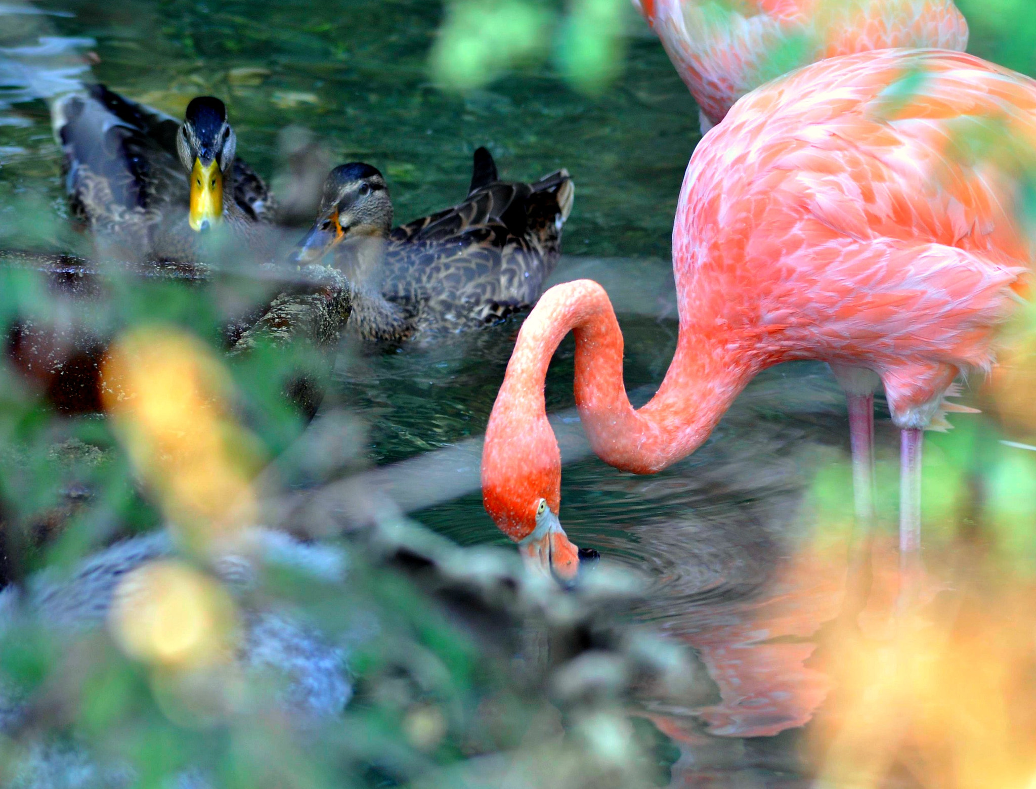 Nikon D5000 sample photo. Ccstrcrt photography