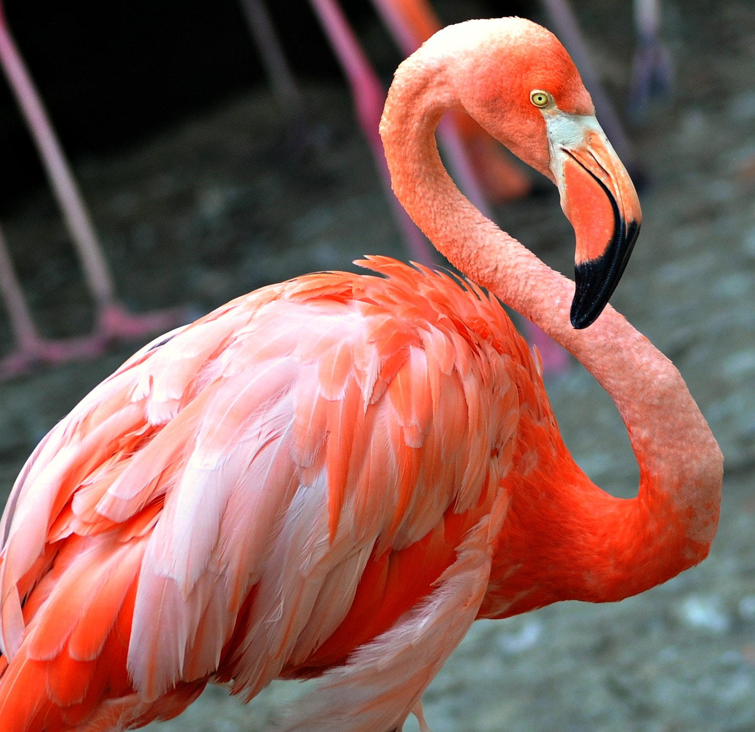 Nikon D5000 sample photo. Egr photography