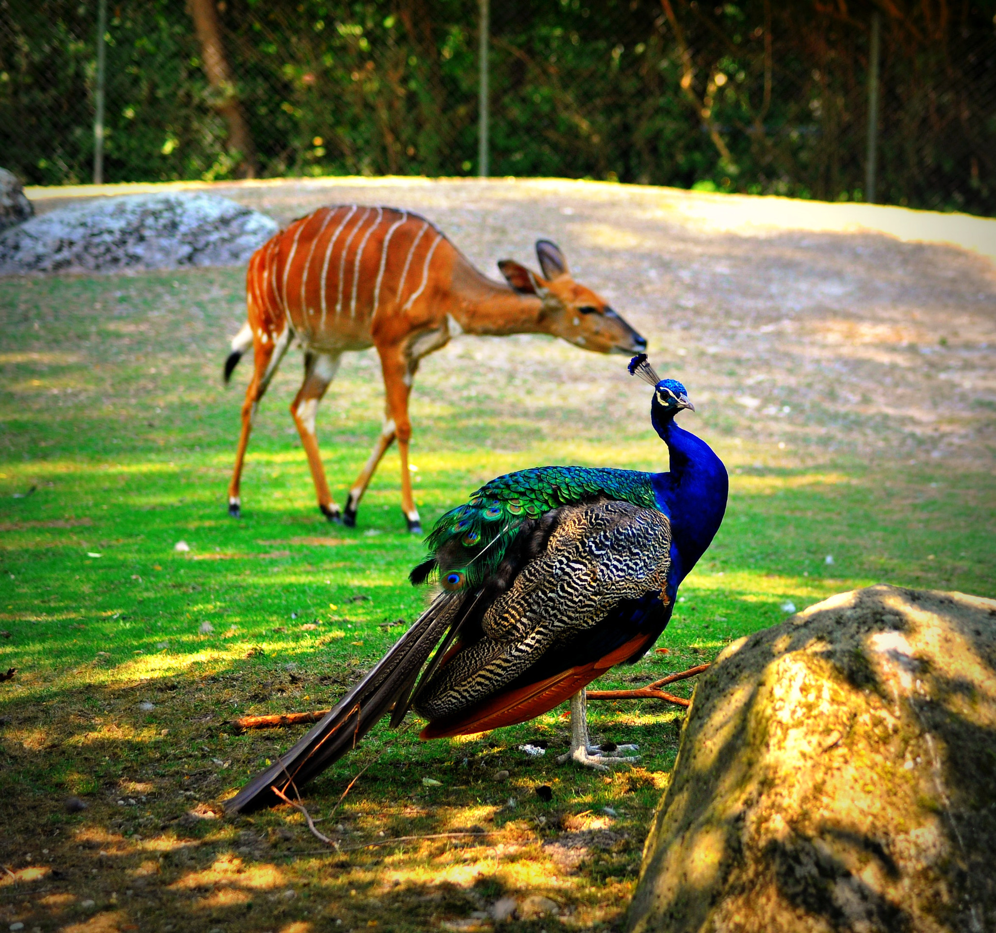 Nikon D5000 sample photo. Punmsctdcp photography