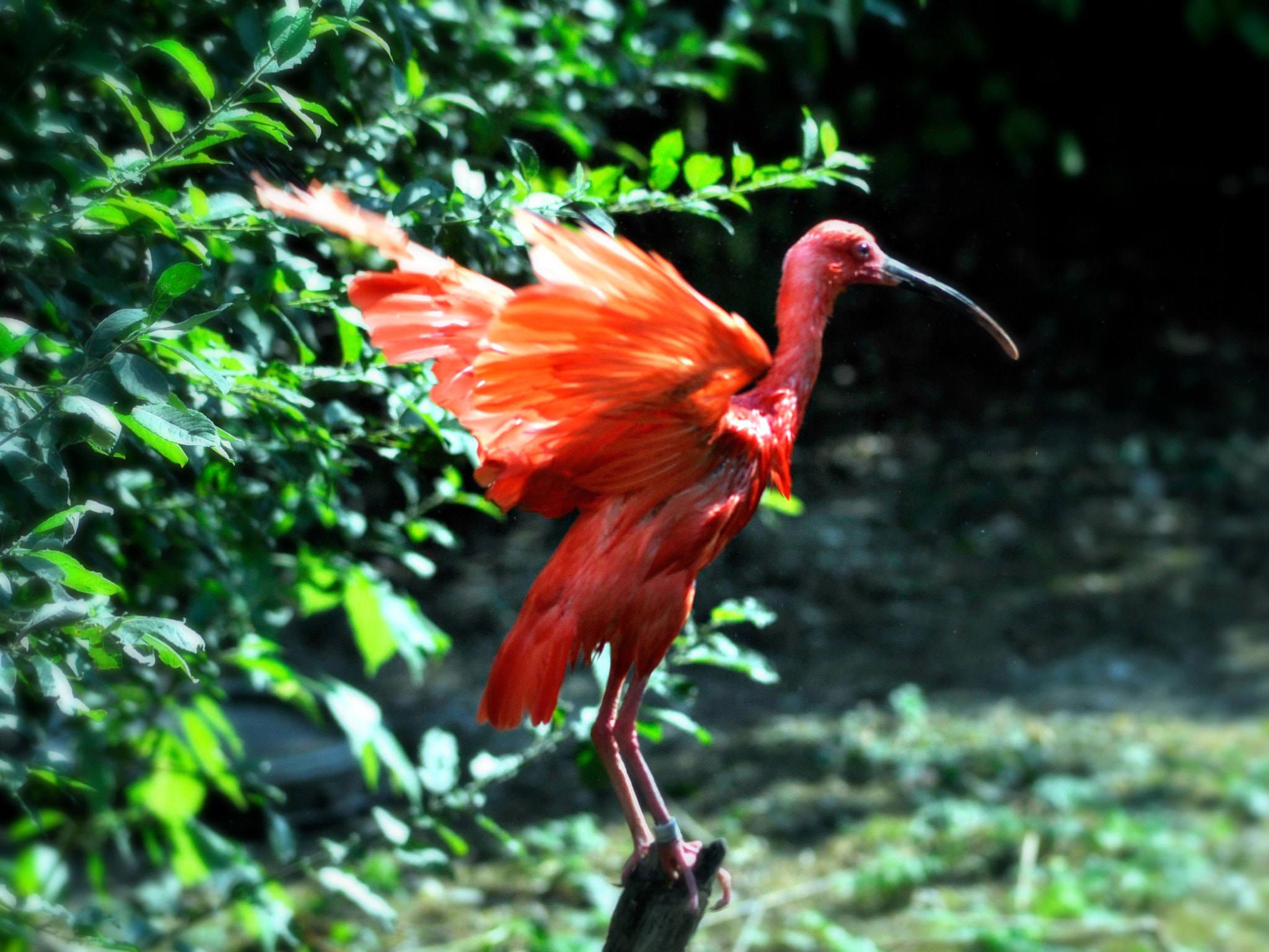 Nikon D5000 sample photo. Psr dfoc photography