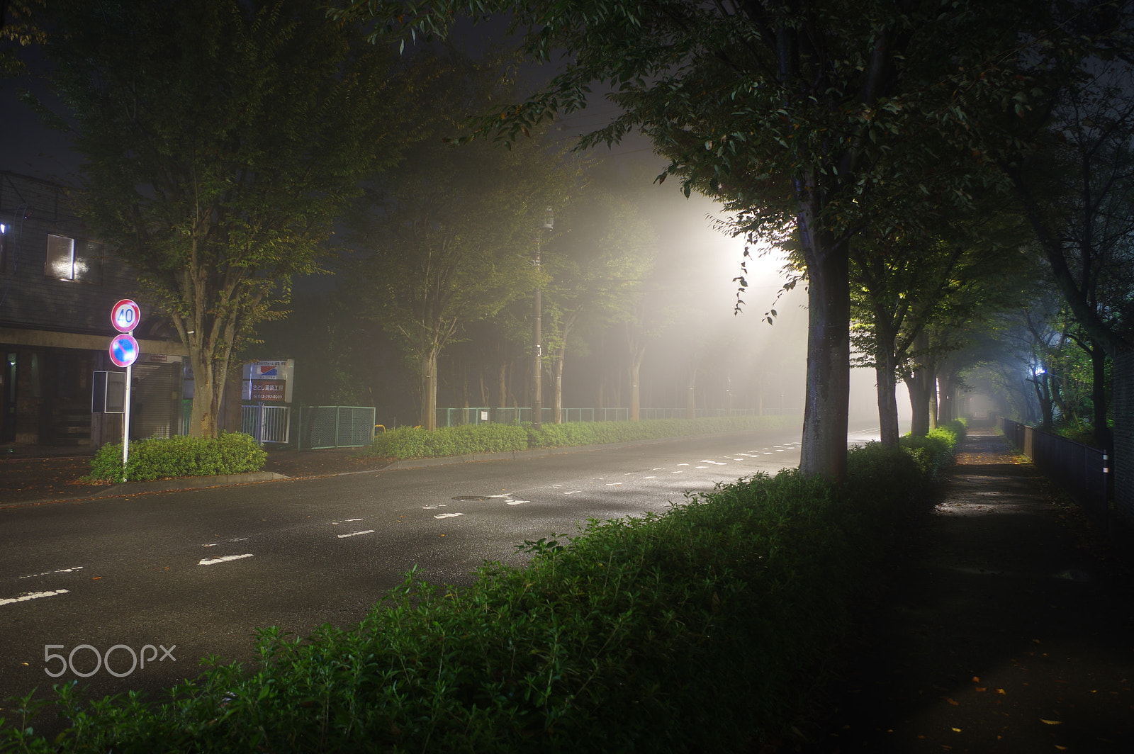 Pentax K-3 II sample photo. Night fog　take2 photography