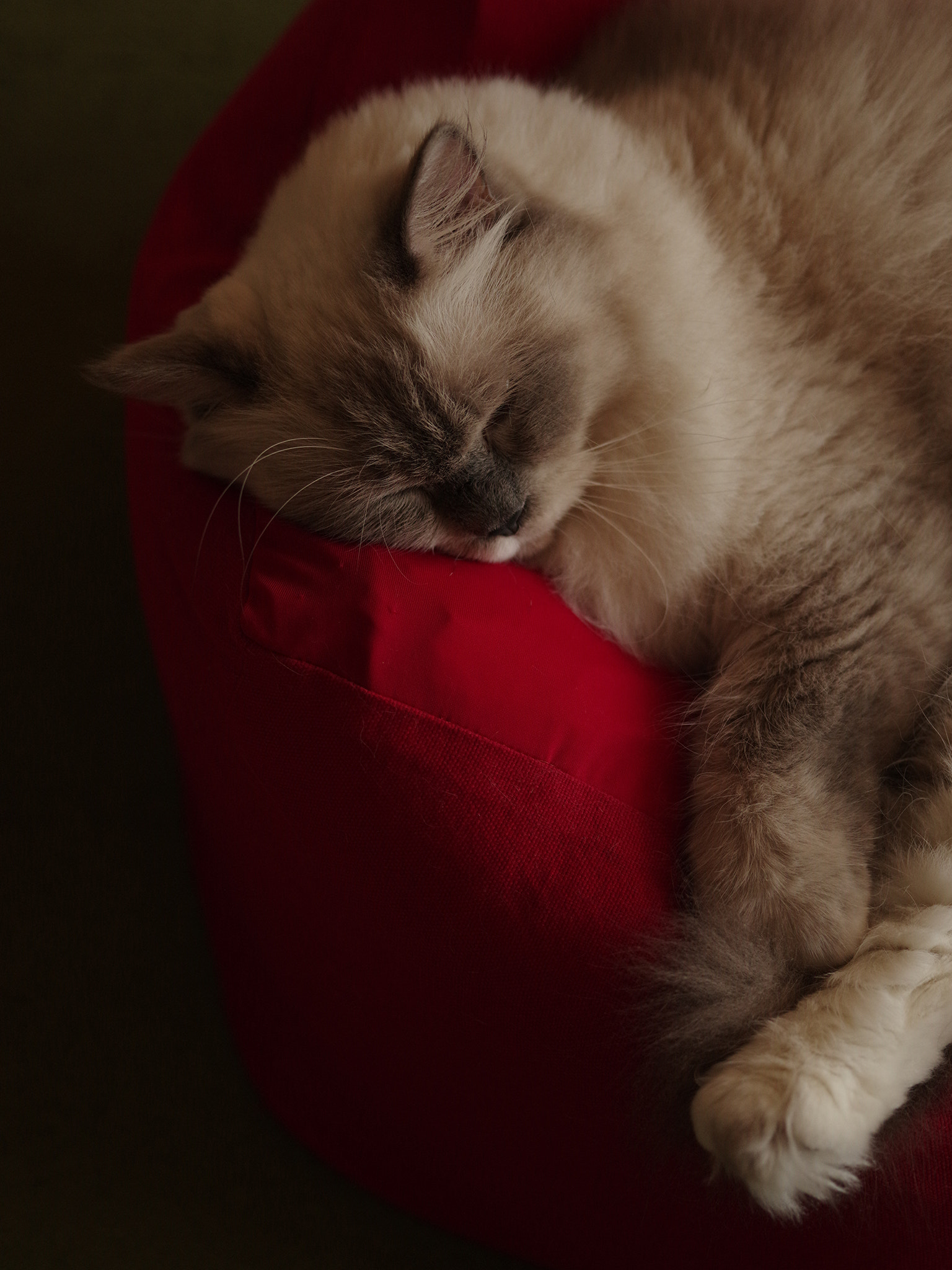 Pentax 645Z + smc PENTAX-FA 645 Macro 120mm F4 sample photo