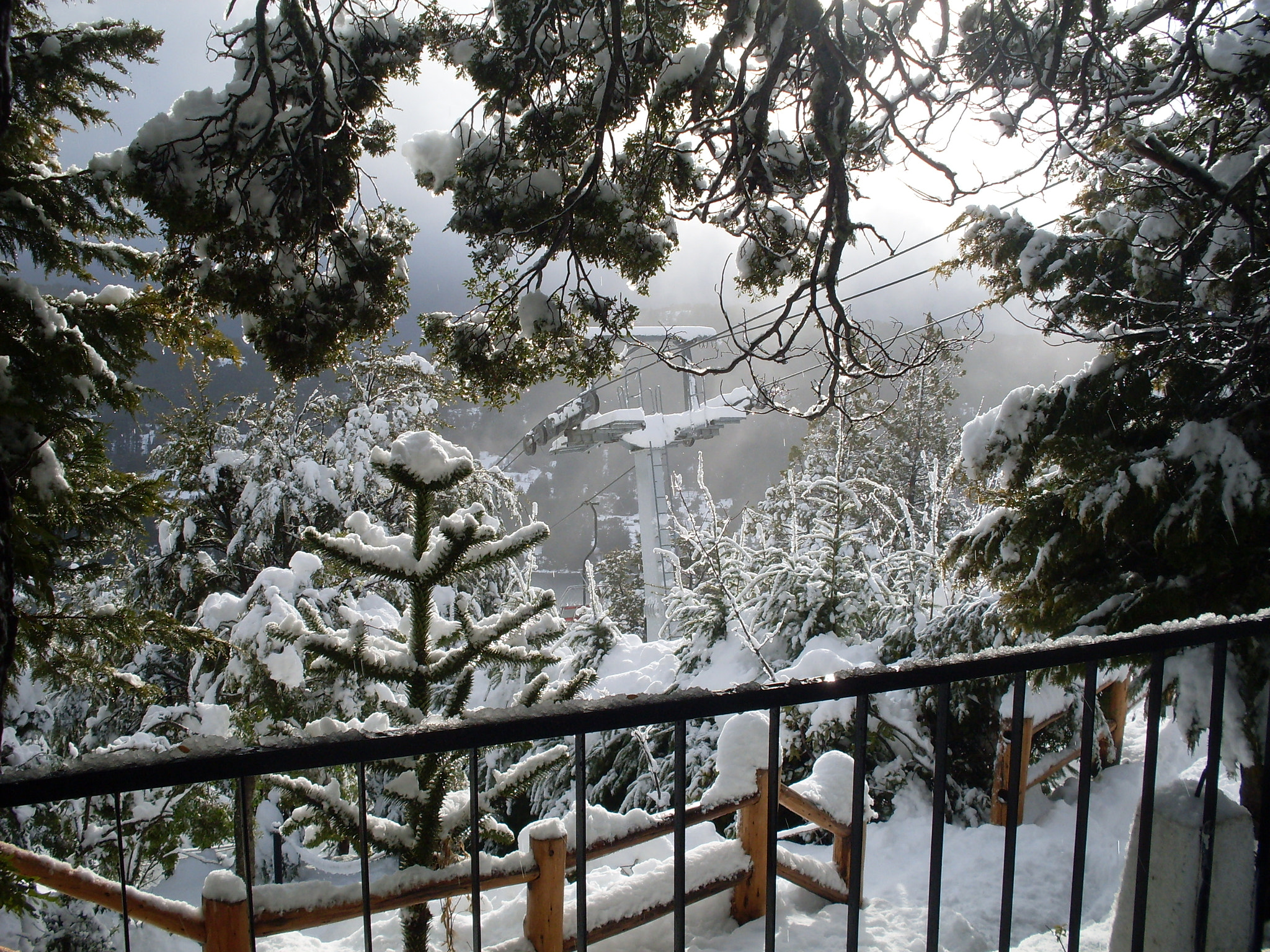 Samsung KENOX S760  / Samsung S760 sample photo. Lineas en la nieve photography