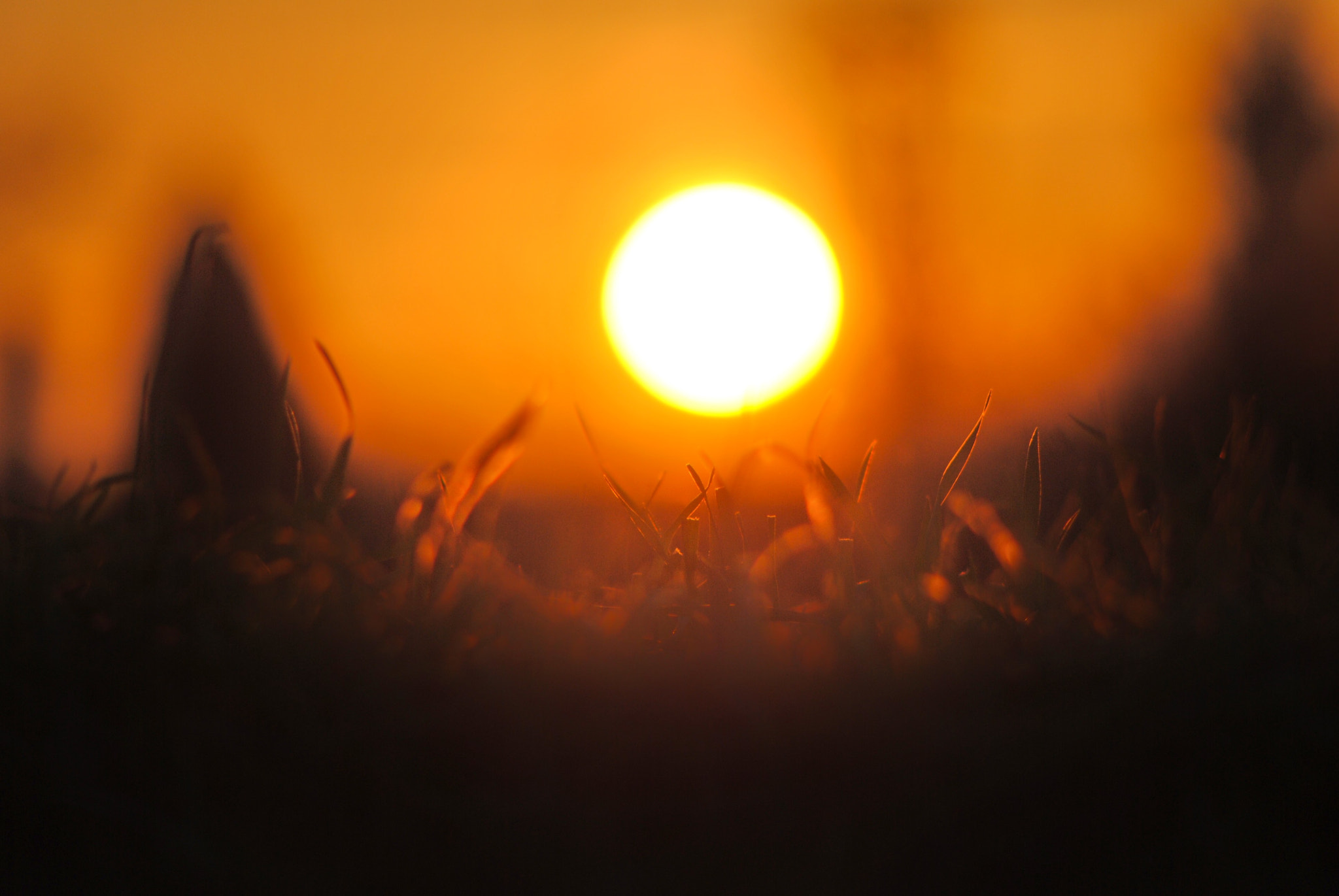 Nikon D3000 + AF Nikkor 70-210mm f/4-5.6 sample photo. Relaxing sunset photography