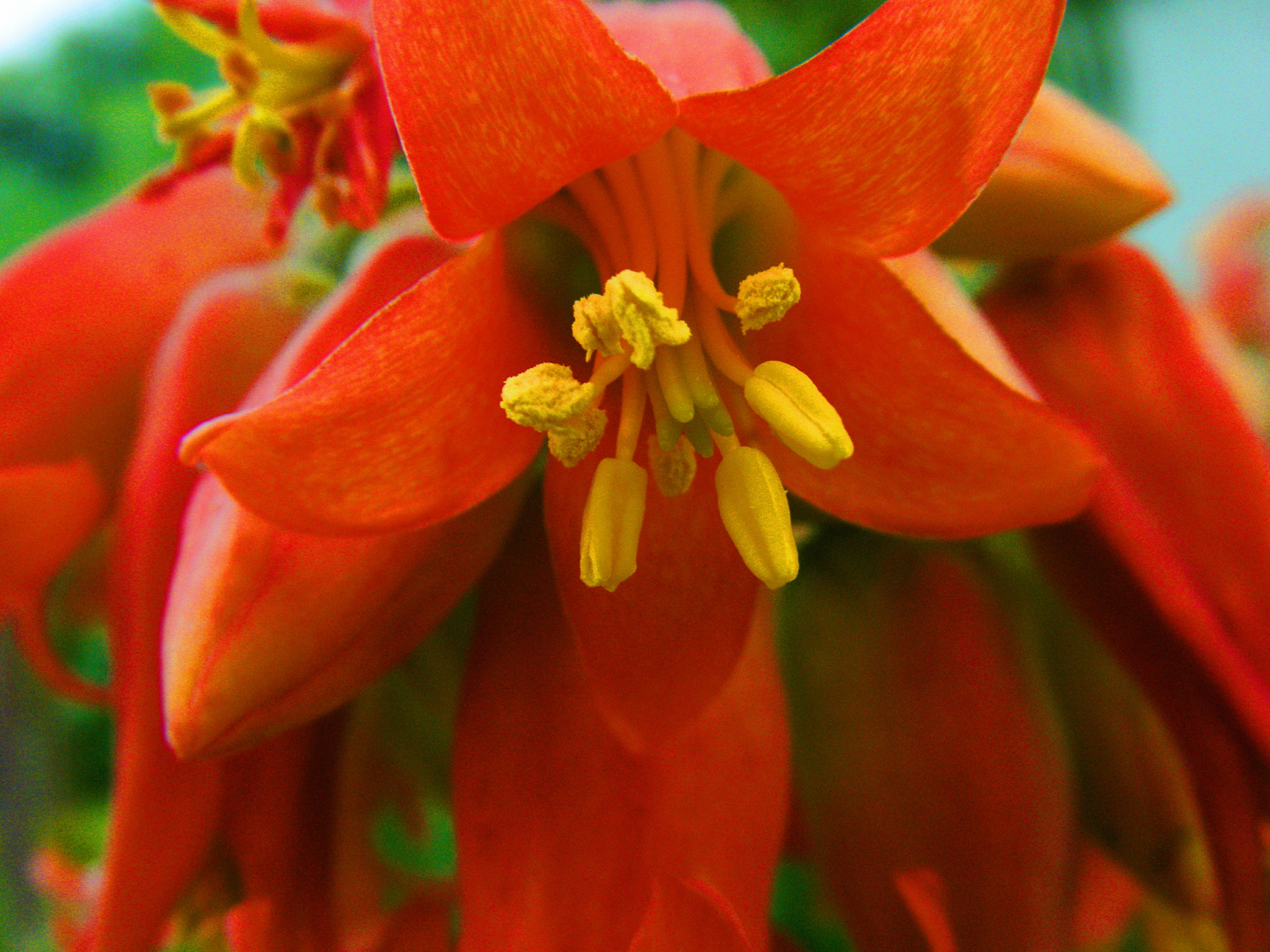 Fujifilm FinePix Z33WP sample photo