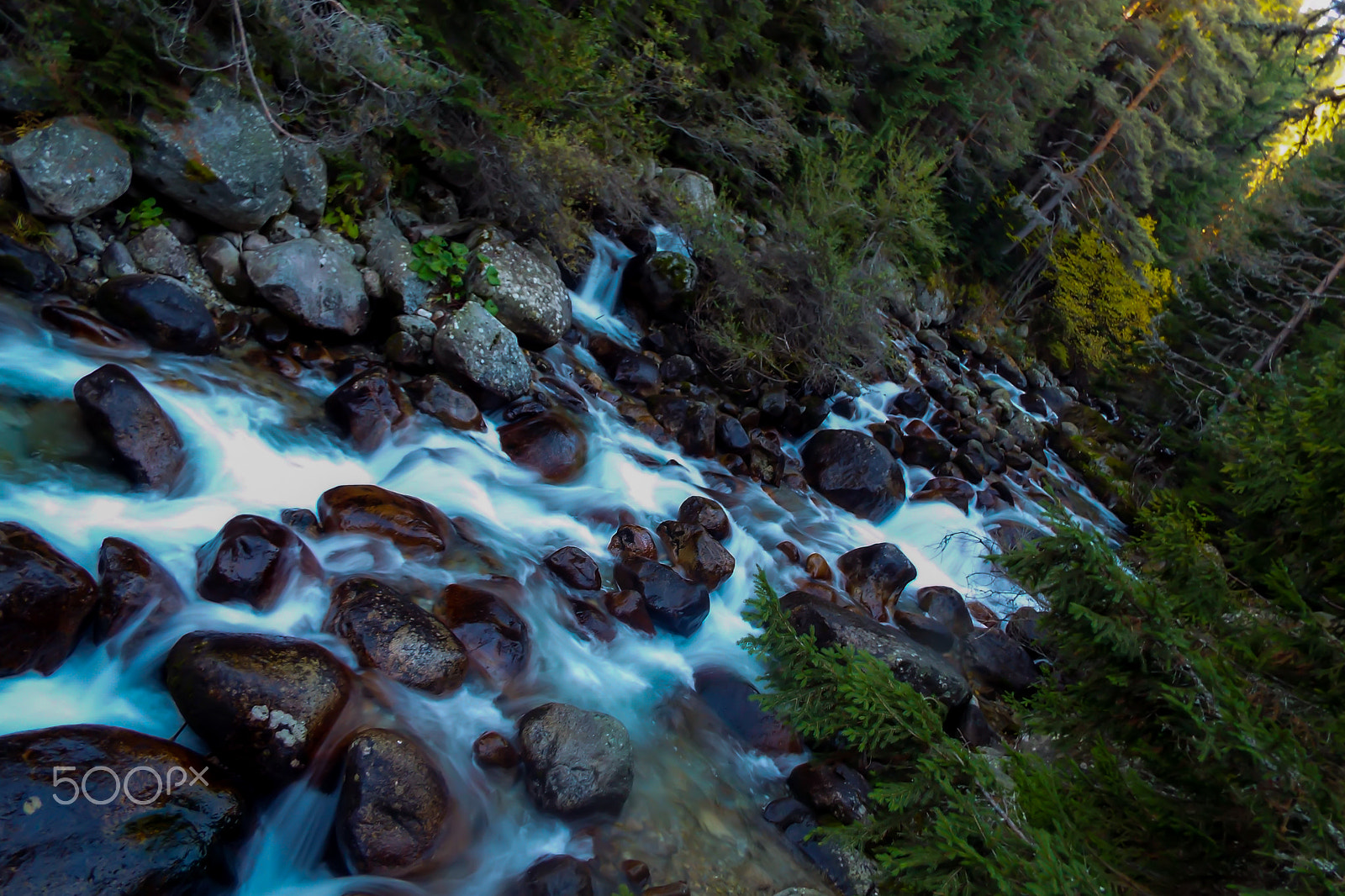 Fujifilm FinePix S8300 sample photo. River in pirin mountain photography