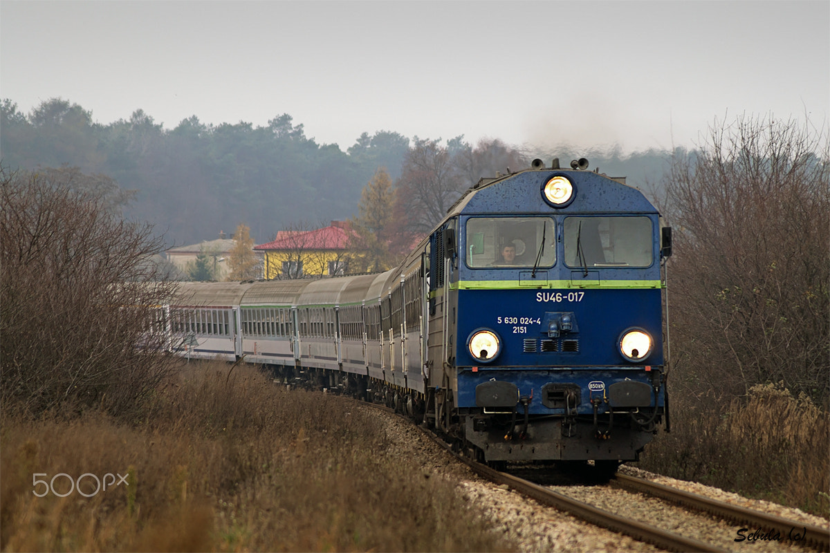 Sony DT 55-200mm F4-5.6 SAM sample photo. Su46-017 photography