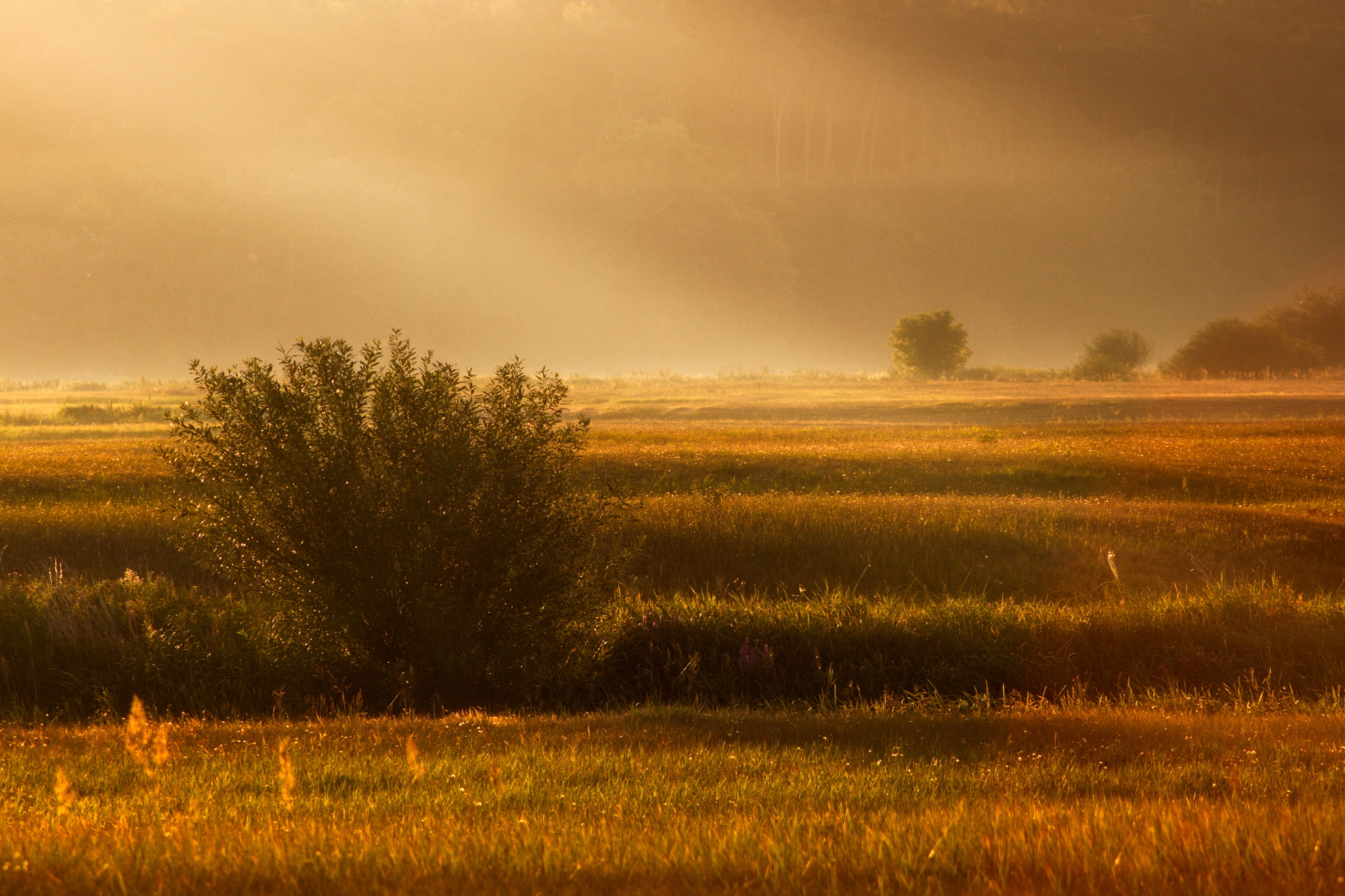 Canon EF 90-300mm F4.5-5.6 sample photo. Sunrise, sunrise photography