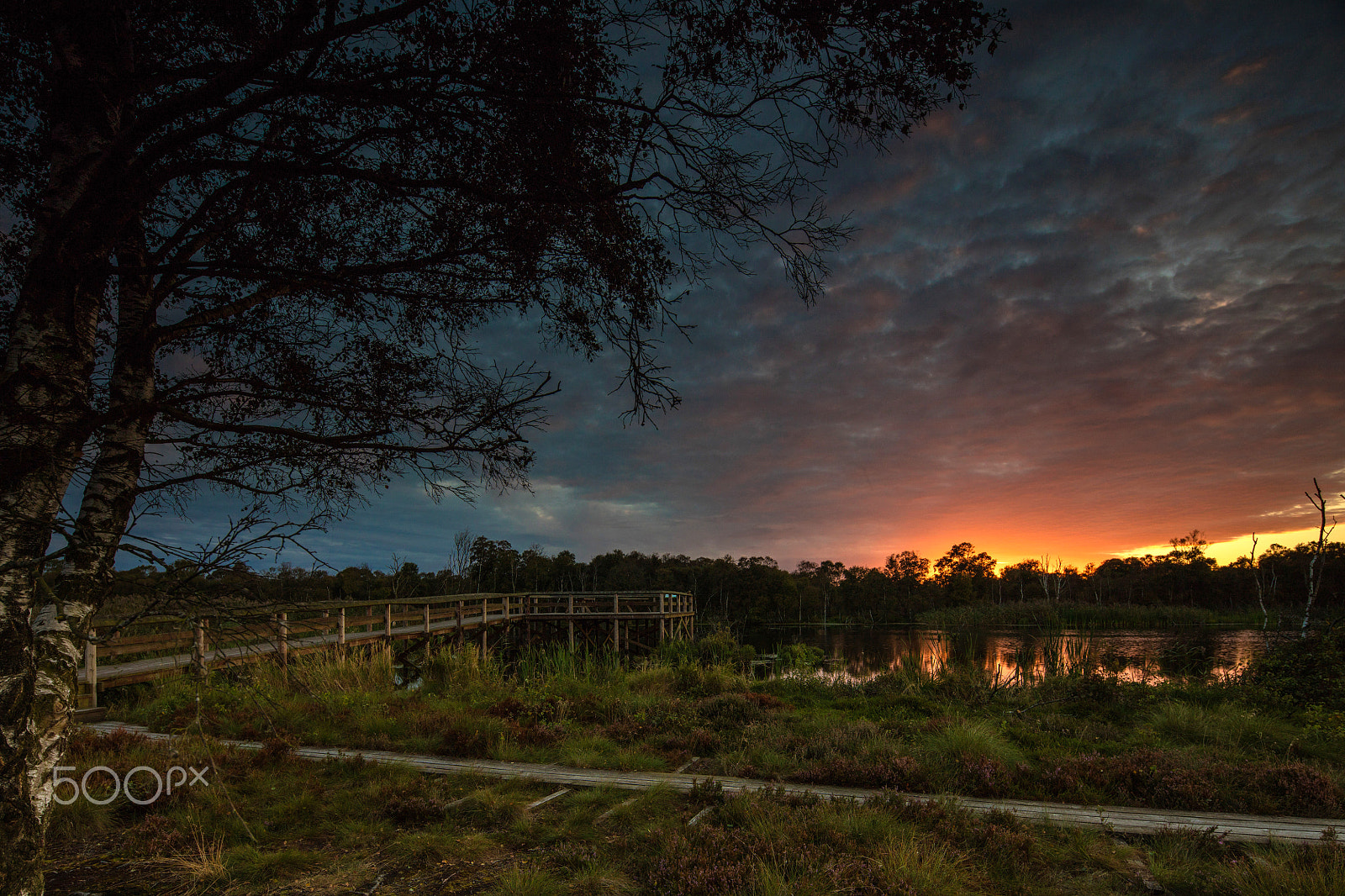 Canon EOS 5DS R sample photo. Portlandmose sunset photography