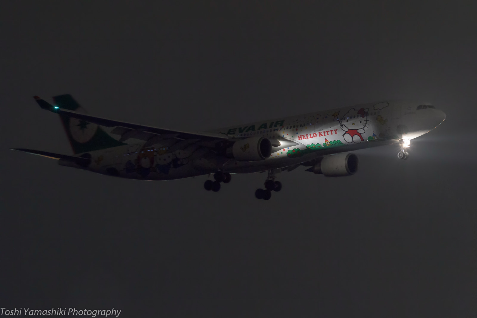Nikon AF-S Nikkor 300mm F2.8G ED VR II sample photo. Dsc photography