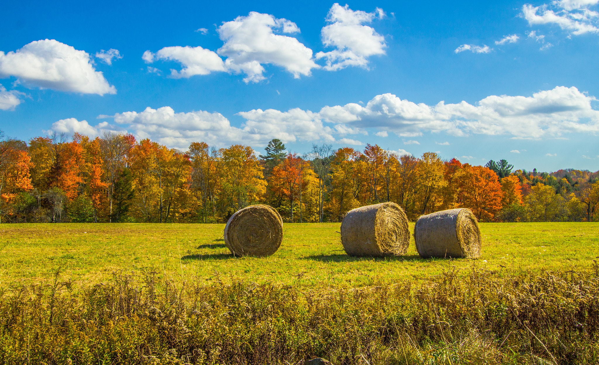 Canon EF-S 10-22mm F3.5-4.5 USM sample photo. Autumn hay rolls photography