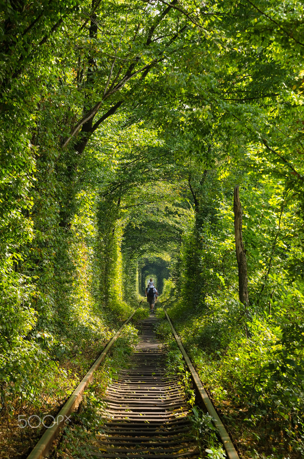 Nikon D7000 + Tamron AF 28-75mm F2.8 XR Di LD Aspherical (IF) sample photo. Tunnel of love photography