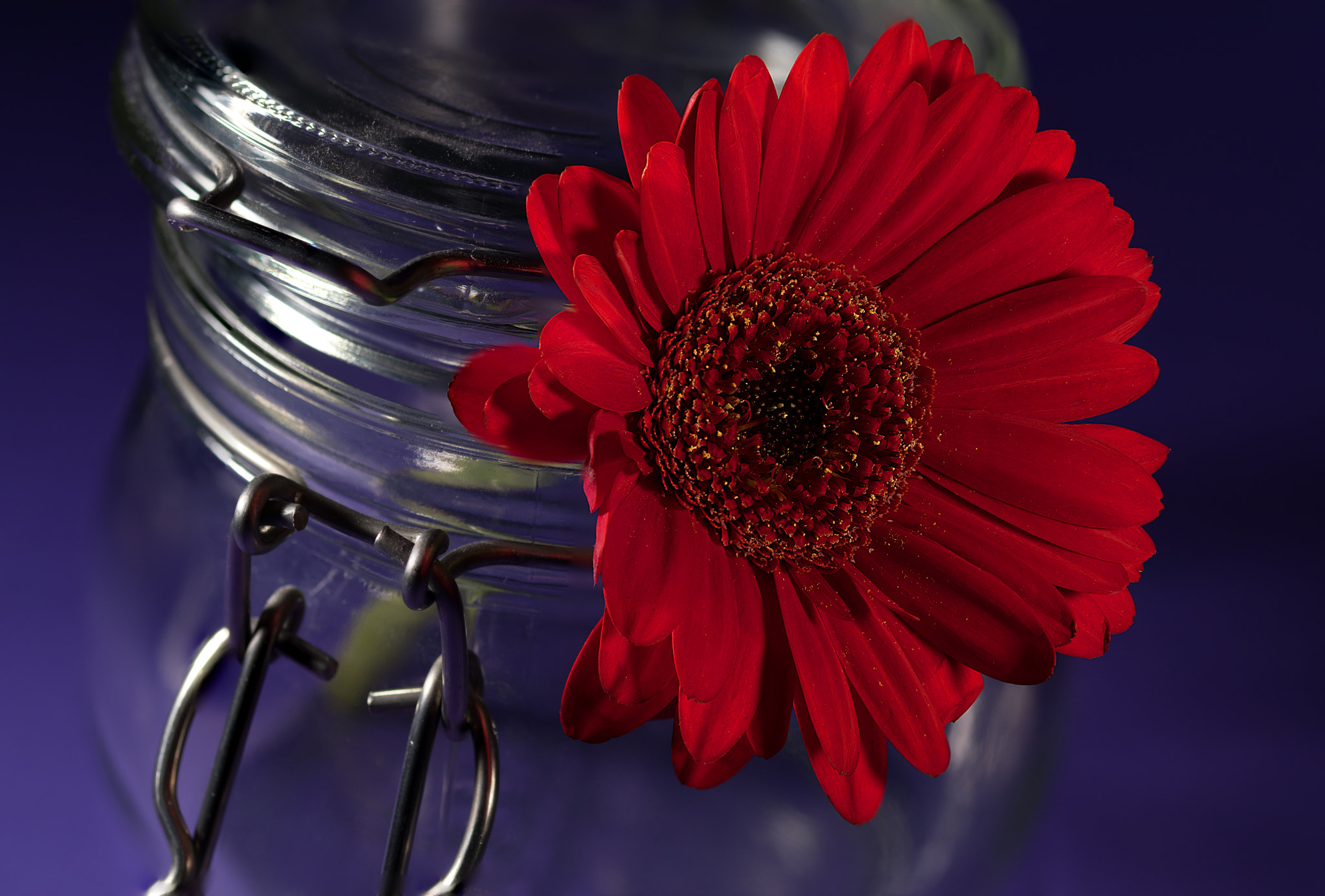 Sigma 105mm F2.8 EX DG OS HSM sample photo. Strange jam photography