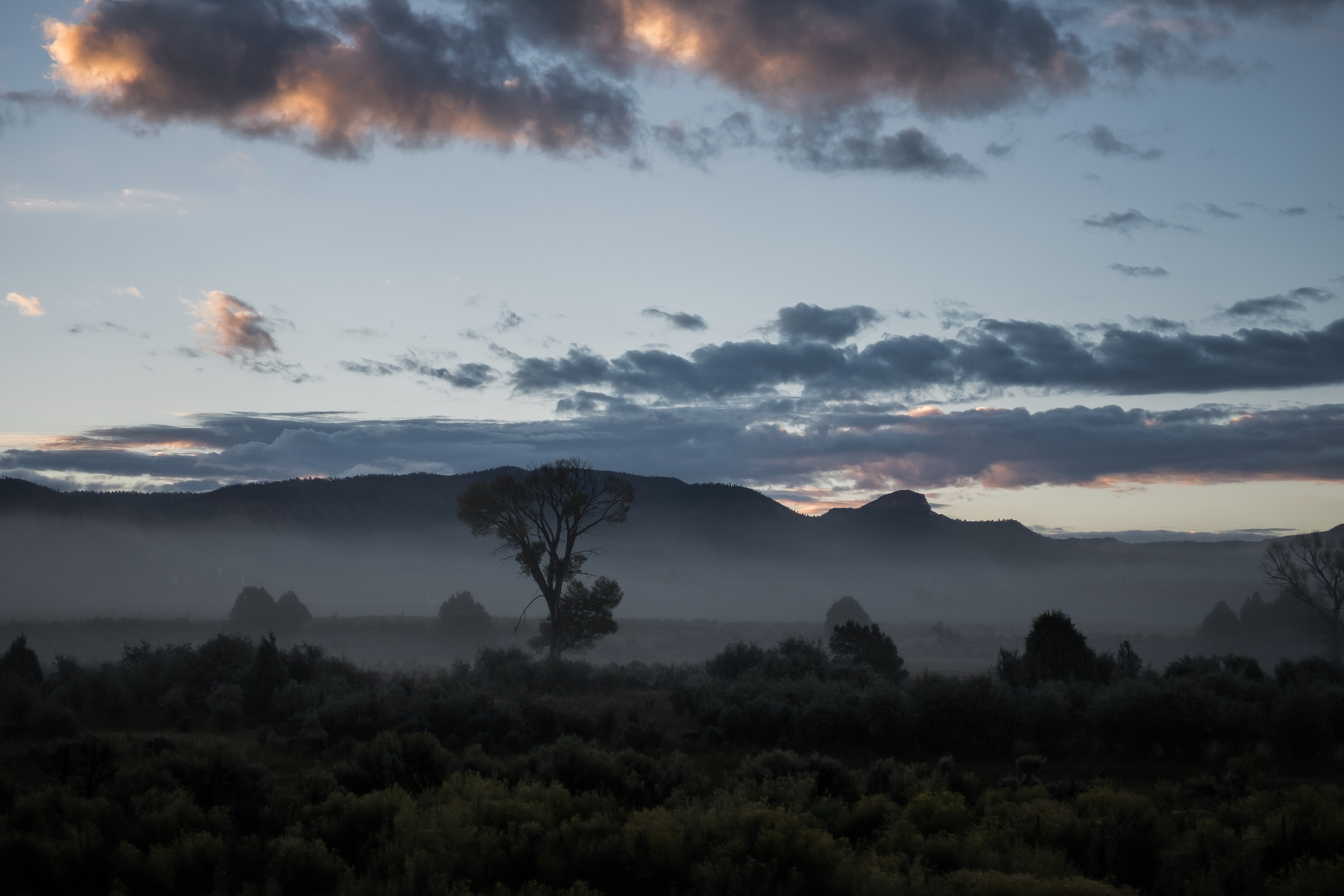 ZEISS Touit 32mm F1.8 sample photo. The morning fog photography
