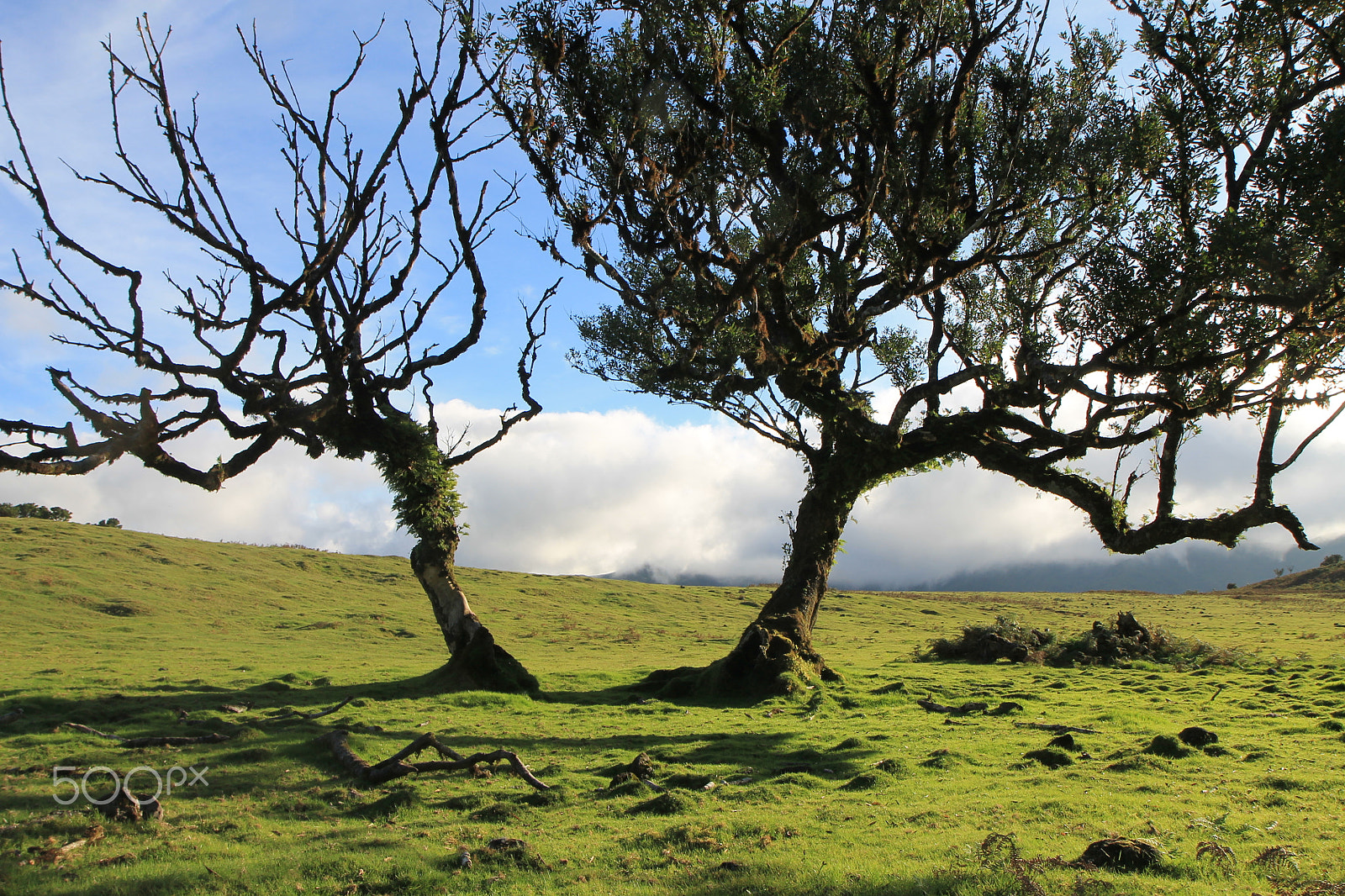 Canon EF-S 17-55mm F2.8 IS USM sample photo. Madeira island - portugal photography
