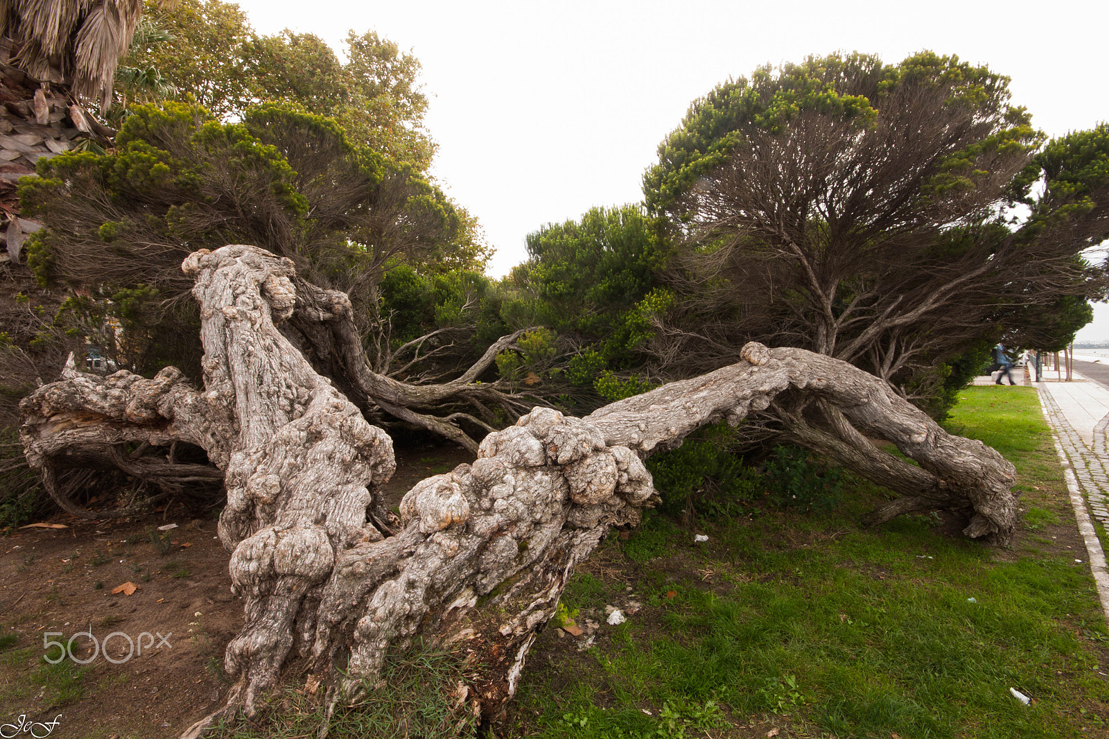 Sigma 10-20mm F4-5.6 EX DC HSM sample photo. Siga a aventura... photography