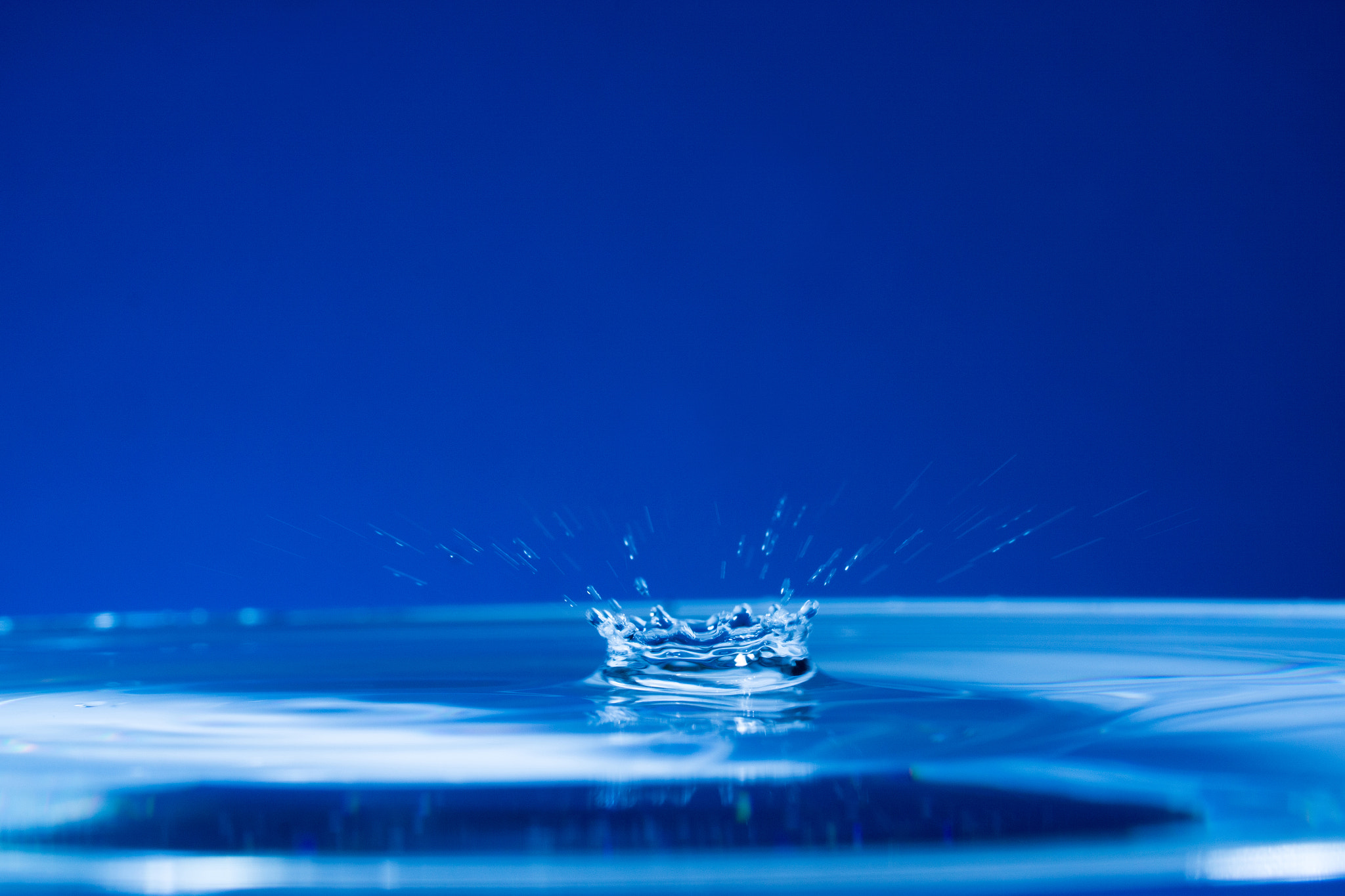 Canon EF 100mm F2.8L Macro IS USM sample photo. Water drops photography