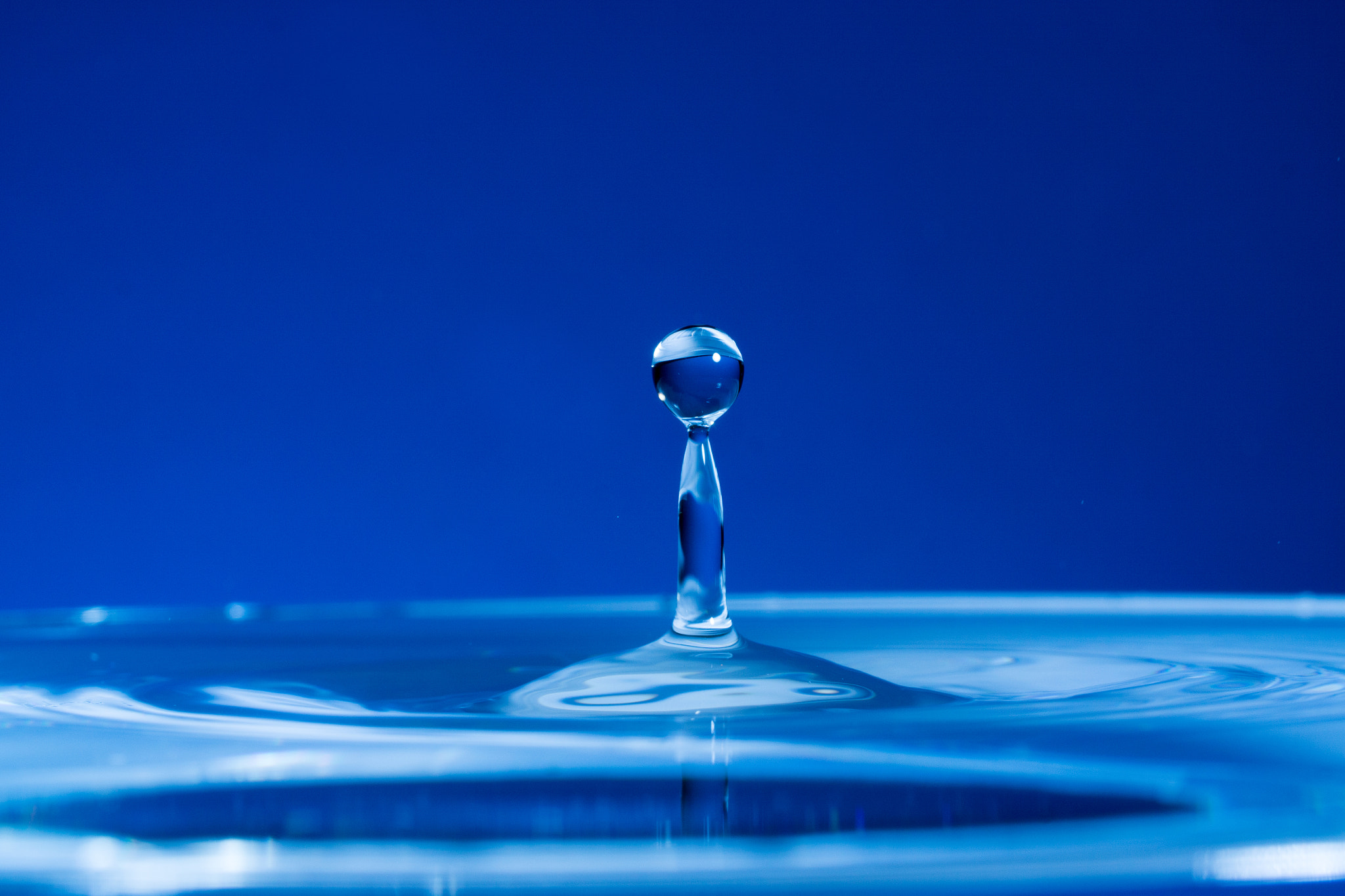 Canon EF 100mm F2.8L Macro IS USM sample photo. Water drops photography