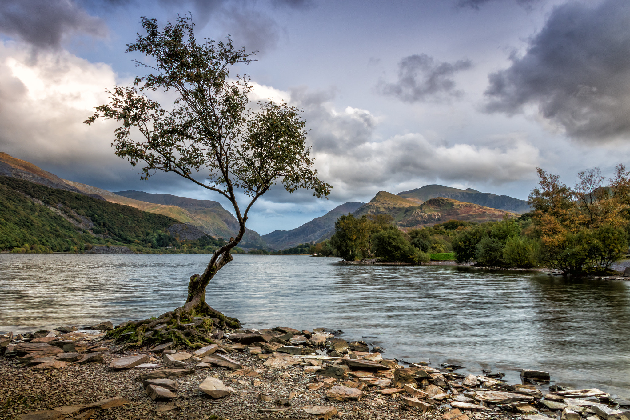 Canon EF-S 18-135mm F3.5-5.6 IS sample photo. The lonely tree, llanberis photography