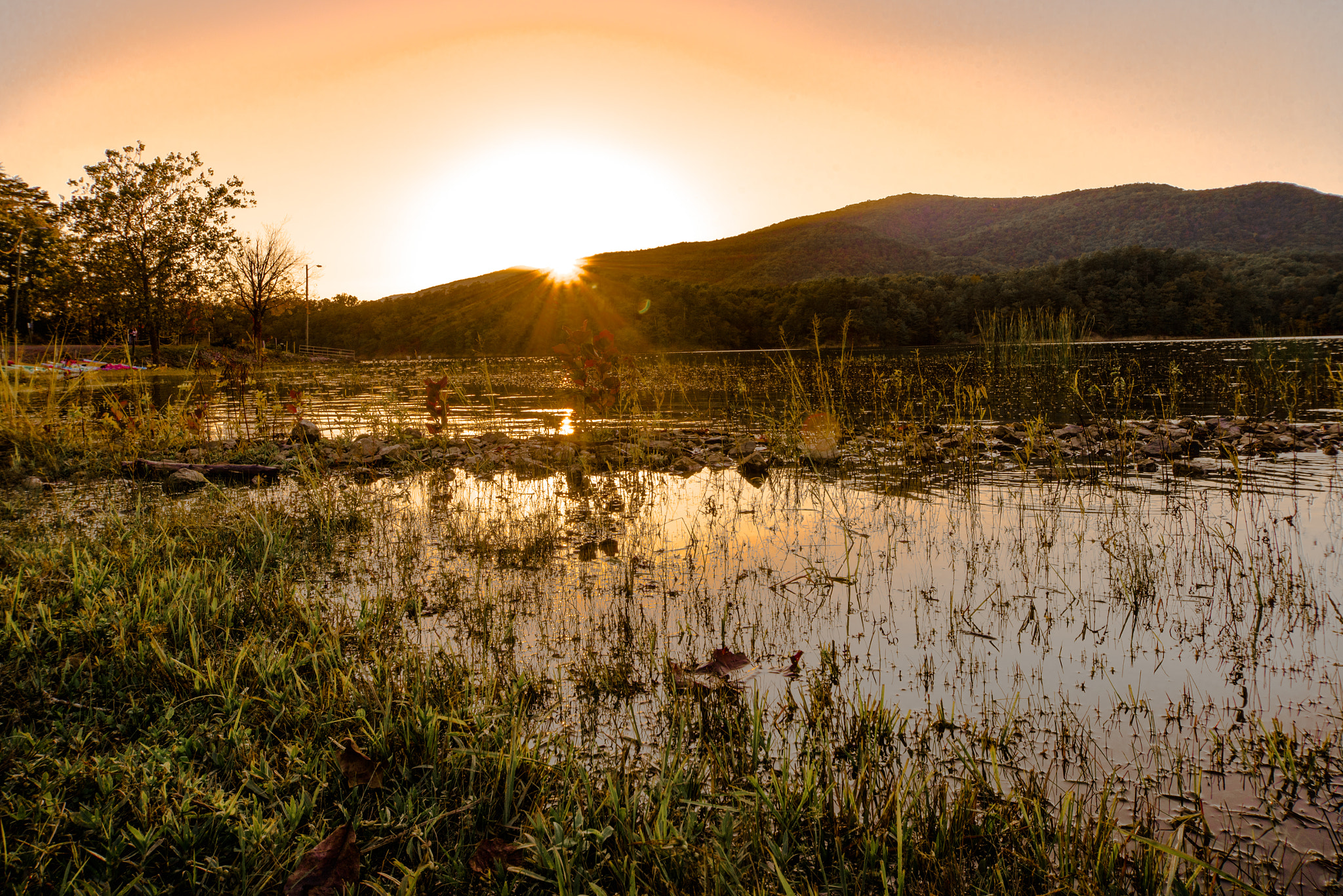 Nikon D600 sample photo. Sunset at carvins cove photography