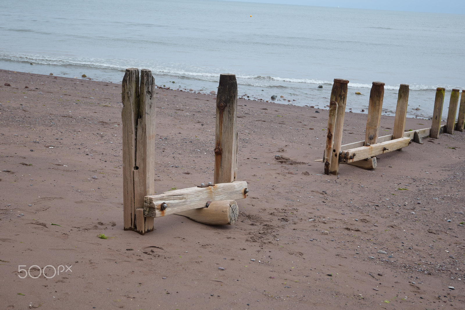 Nikon AF-S Nikkor 16-35mm F4G ED VR sample photo. Beach tree photography