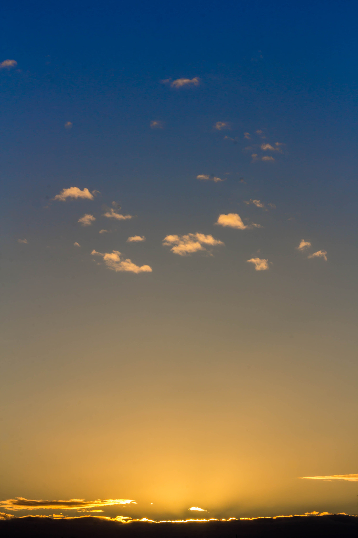 Canon EF 75-300mm f/4-5.6 USM sample photo. Img photography