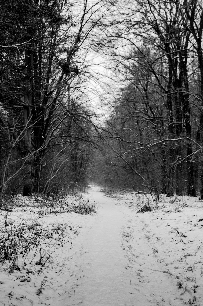 Nikon D40 + Nikon AF-S DX Nikkor 35mm F1.8G sample photo. First snow photography