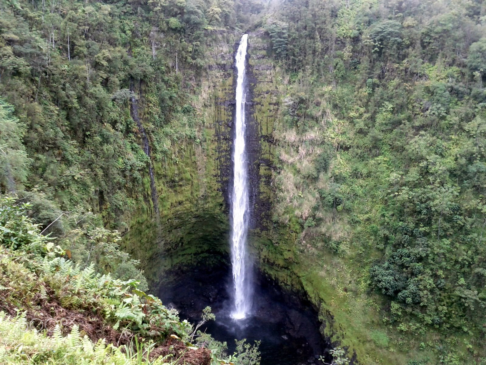 Google Nexus S sample photo. Waterfall on big island of hawaii photography