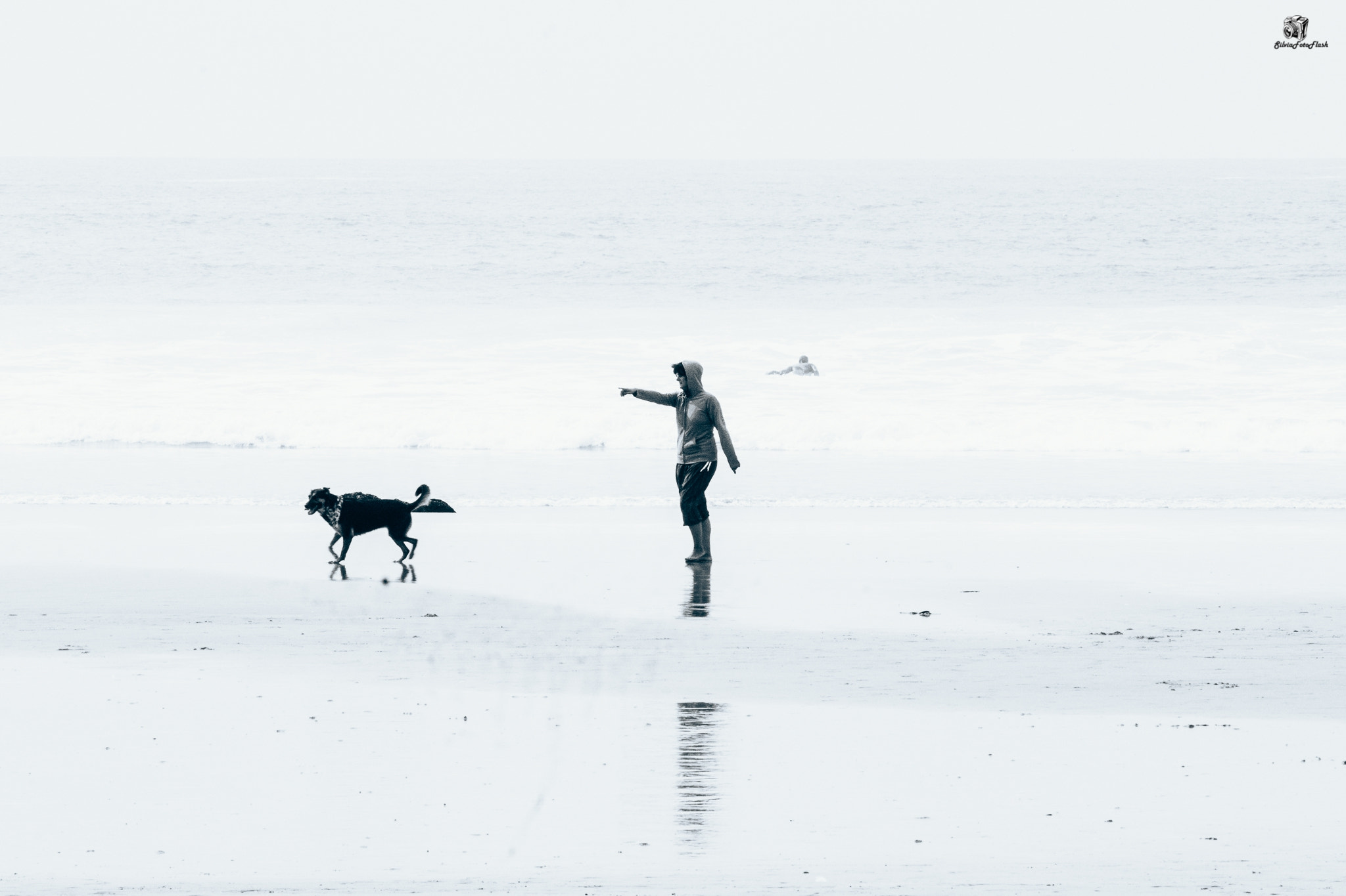 Sigma 150mm f/2.8 EX DG OS HSM APO Macro sample photo. Dog photography