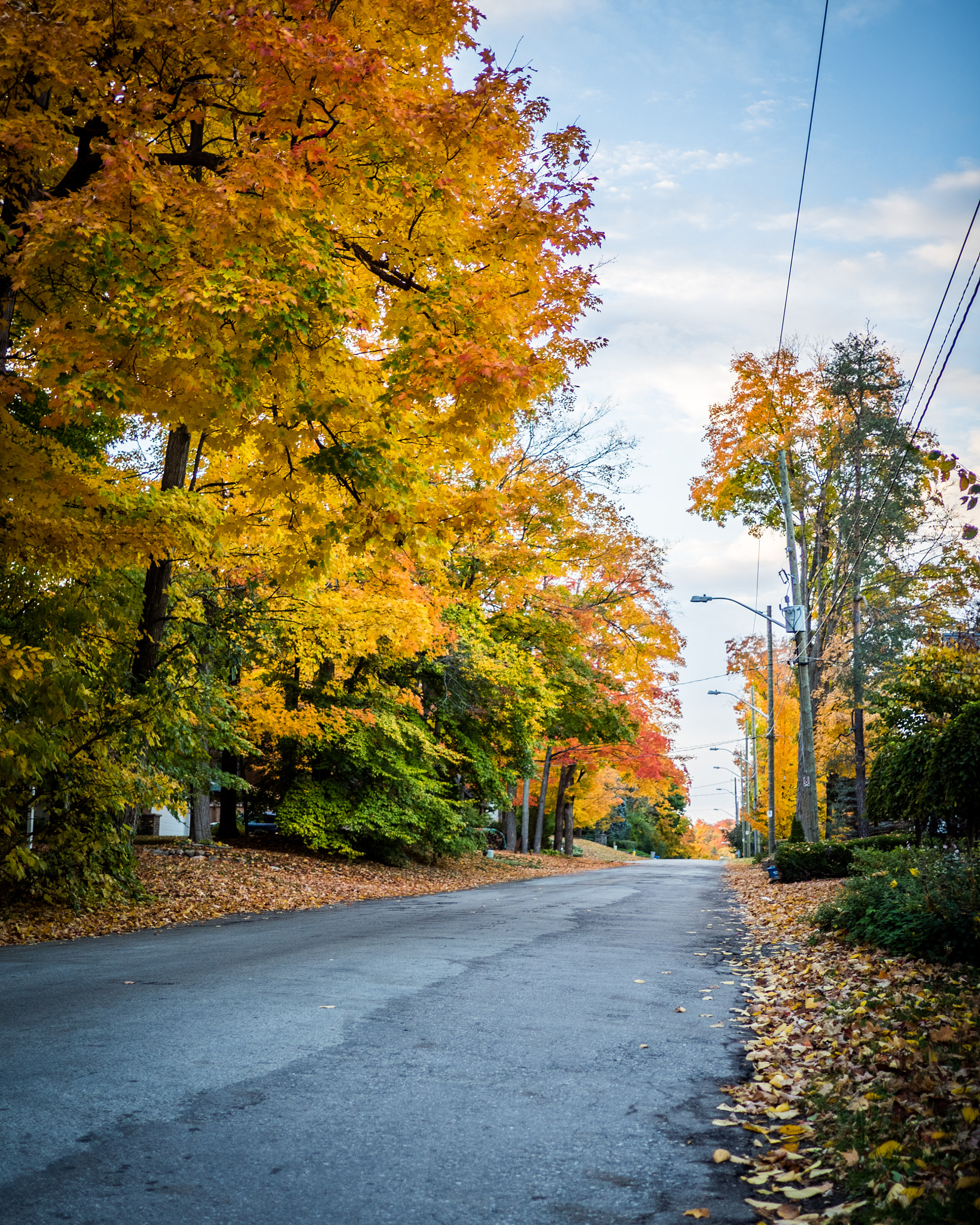 Olympus OM-D E-M5 II + LUMIX G 20/F1.7 II sample photo. Project 365, day two hundred and ninety-three - mcdougall, hdr photography