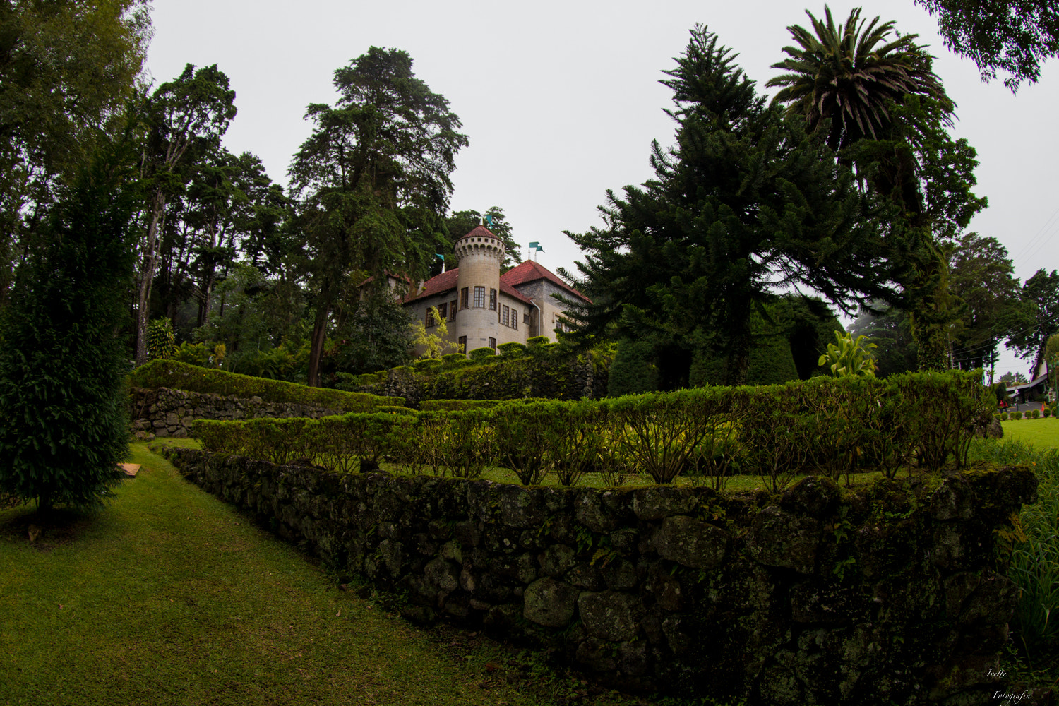 Canon EF 8-15mm F4L Fisheye USM sample photo