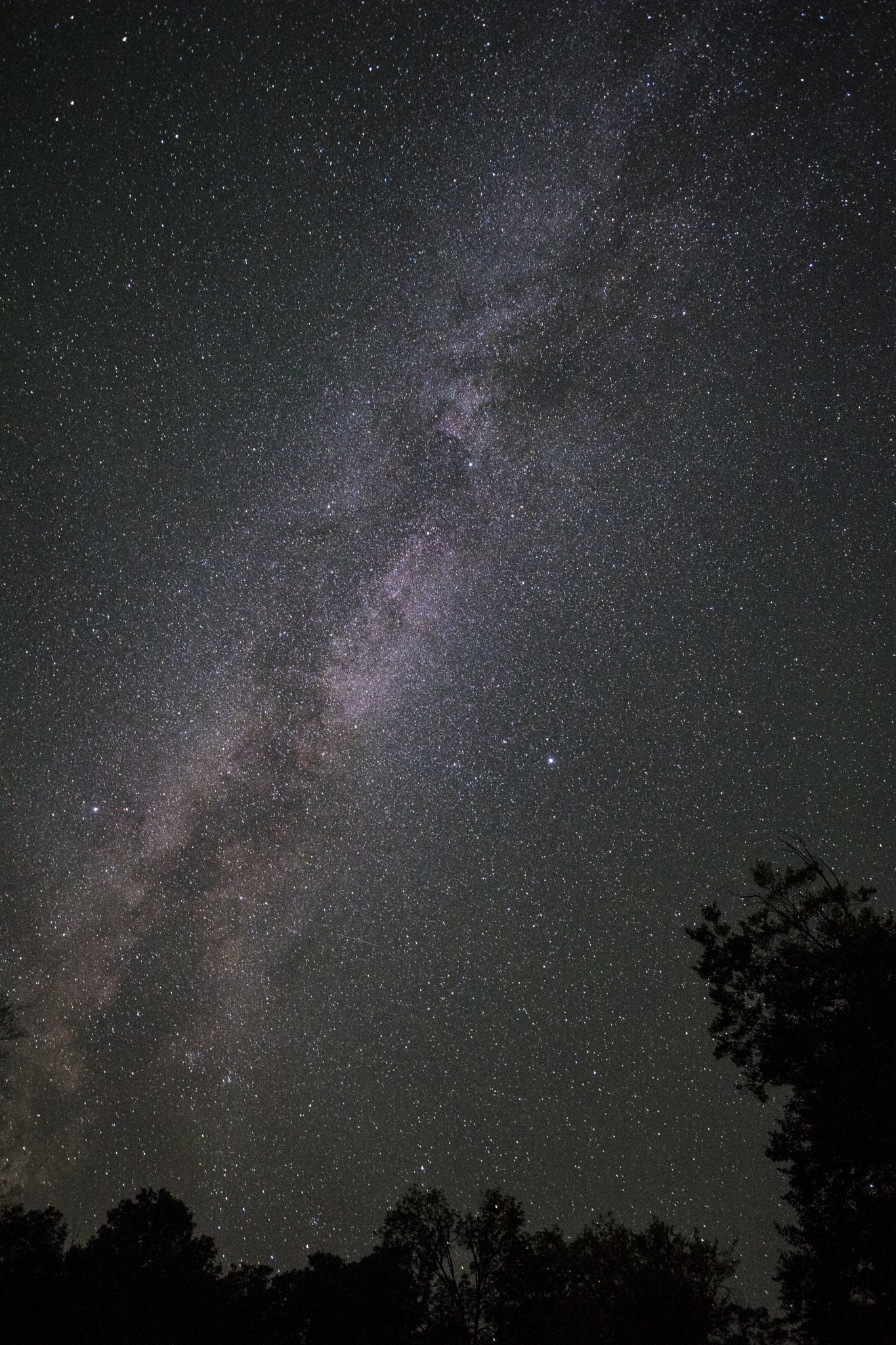 ZEISS Touit 12mm F2.8 sample photo. Look up and get lost photography