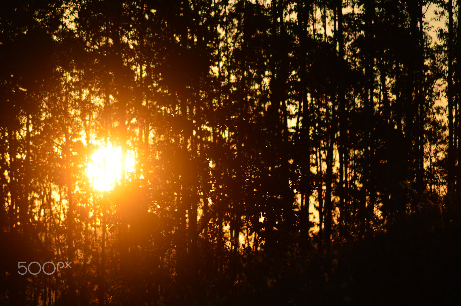 Nikon AF Nikkor 70-300mm F4-5.6G sample photo. Sunset photography