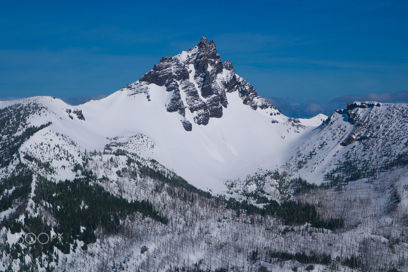 Saumsun NX 16-50mm F2-2.8 S ED OIS sample photo. Three fingered jack photography