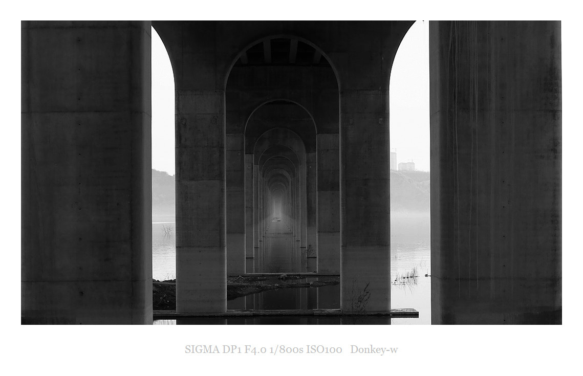 Sigma DP1 sample photo. Hanjiang river bridge photography