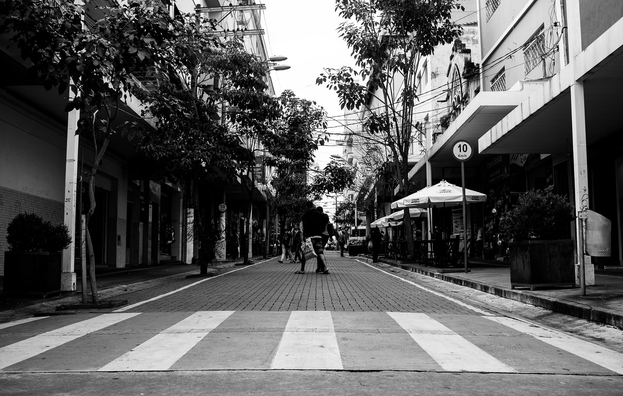 Canon EF-S 24mm F2.8 STM sample photo. Estudods photography