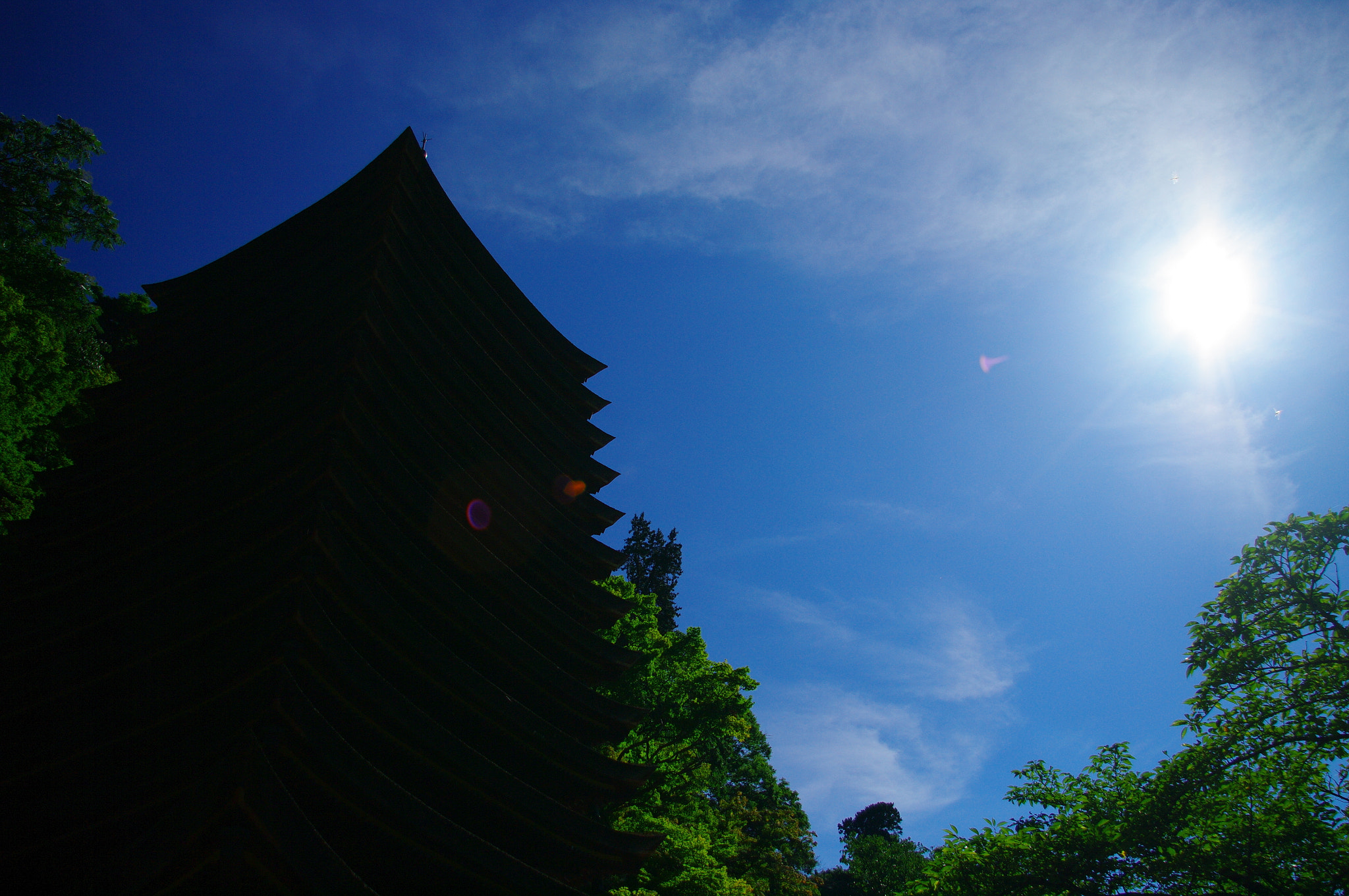 Pentax K20D sample photo