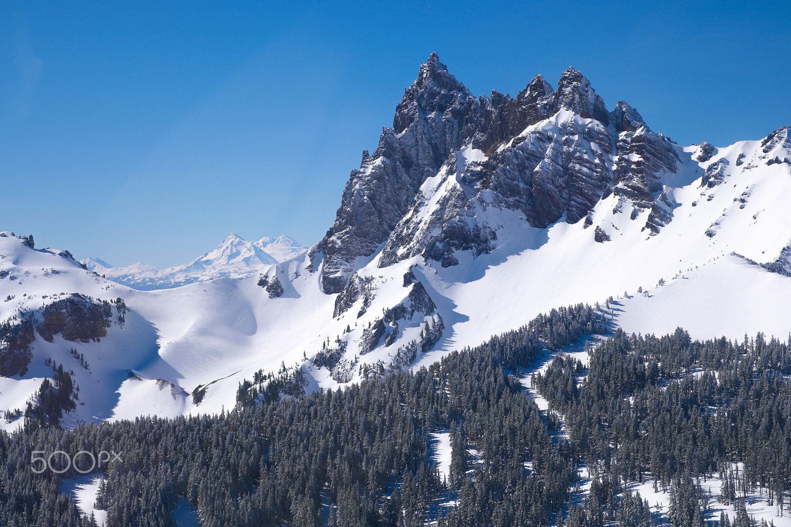 Saumsun NX 16-50mm F2-2.8 S ED OIS sample photo. Three fingered jack's north side photography