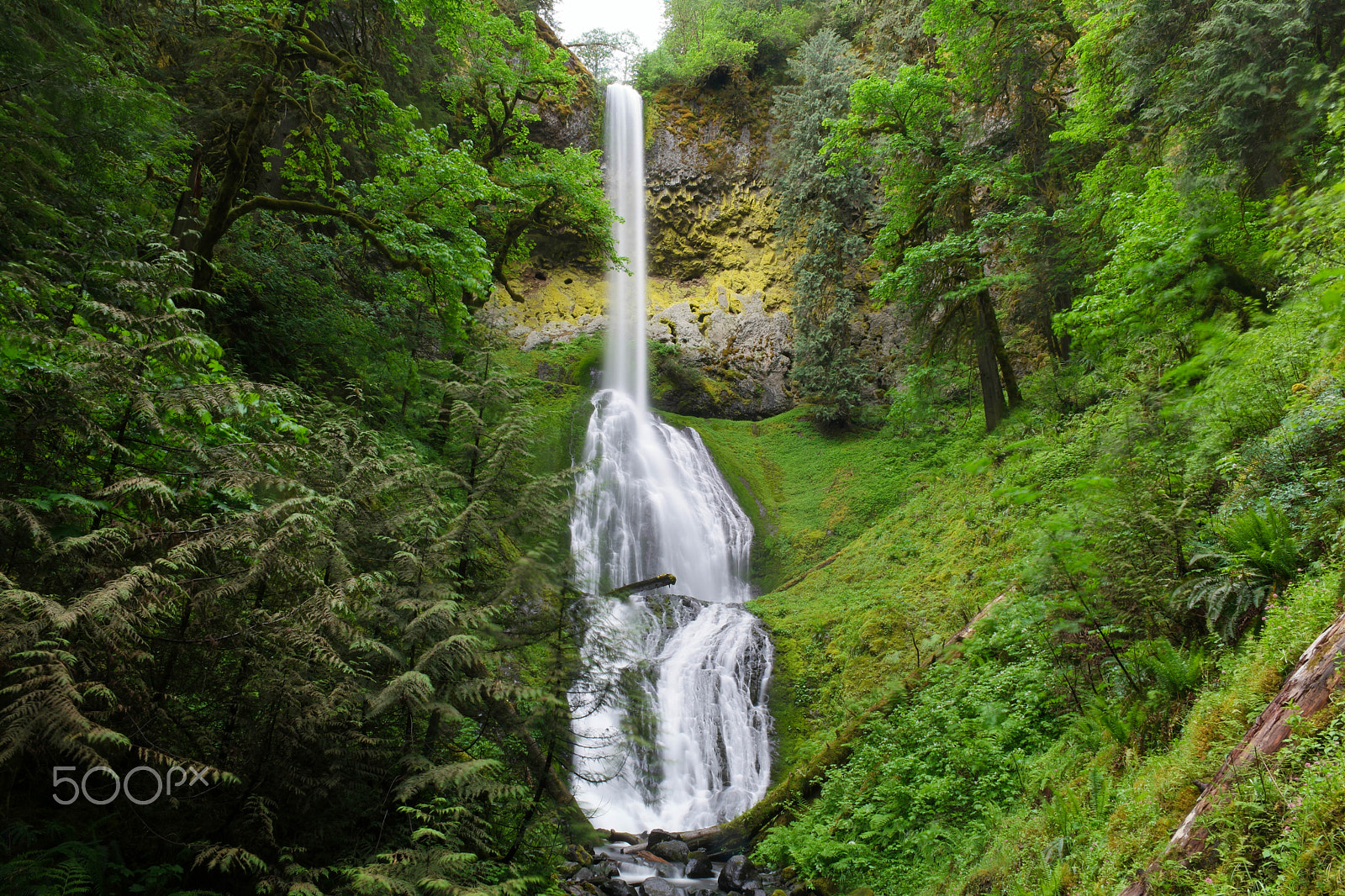 Saumsun NX 16-50mm F2-2.8 S ED OIS sample photo. Pup creek falls photography