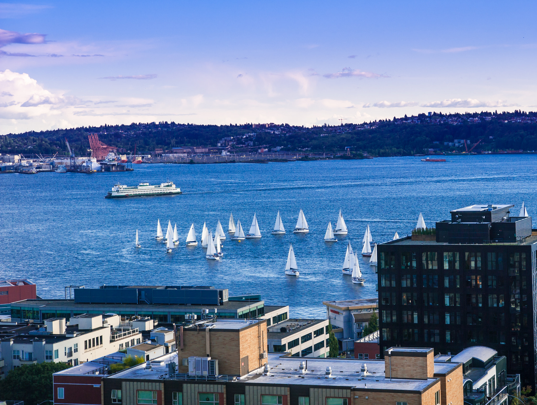 Nikon AF-S Nikkor 24-70mm F2.8E ED VR sample photo. Elliott bay regatta photography